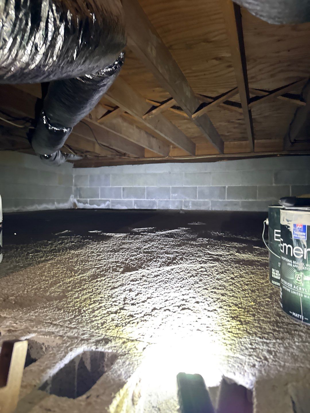 Post‑Remediation Clearance Test & Corrective Mold Remediation, Dover, DE. by Healthy Home Solutions