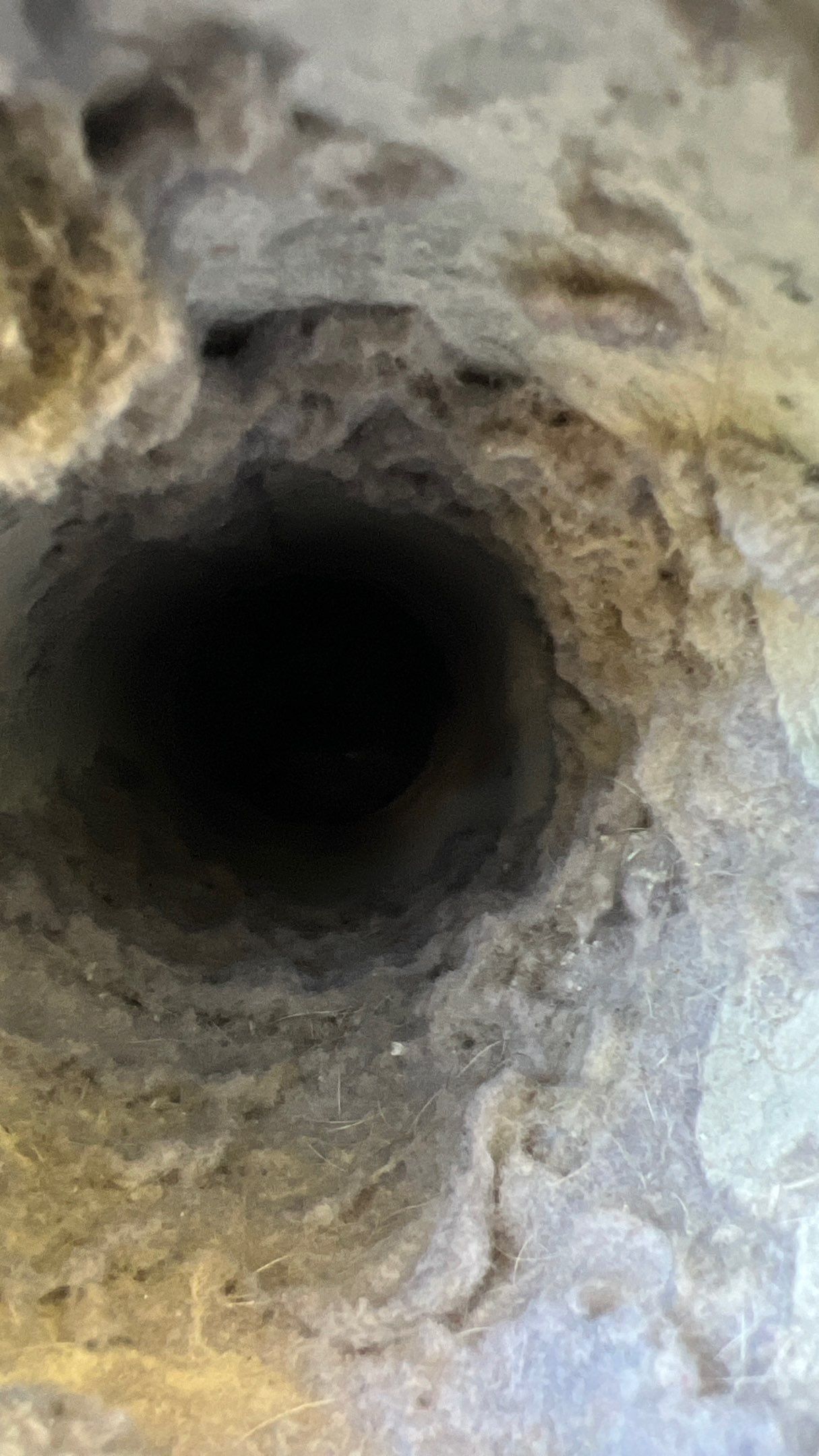 Dryer Vent Cleaning in Mars, PA by Superior Air Duct Cleaning