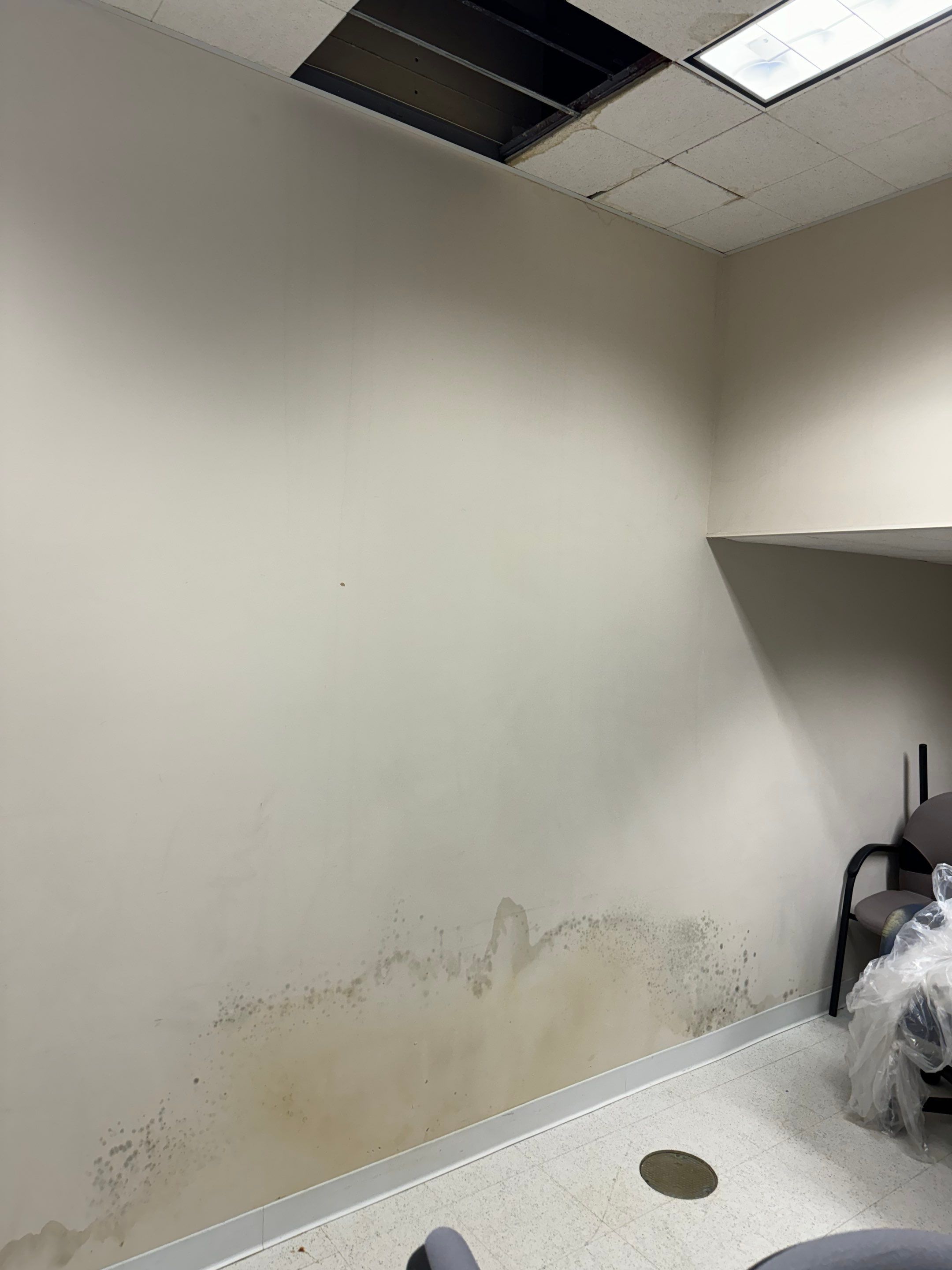 Mold Remediation Fairfield NJ by Pure Service Pro, LLC 