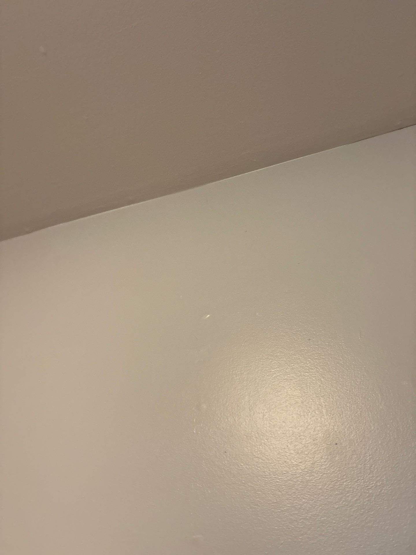 Interior Drywall Repair and Surface Preparation in Denver by CompanyCam Sales Demo