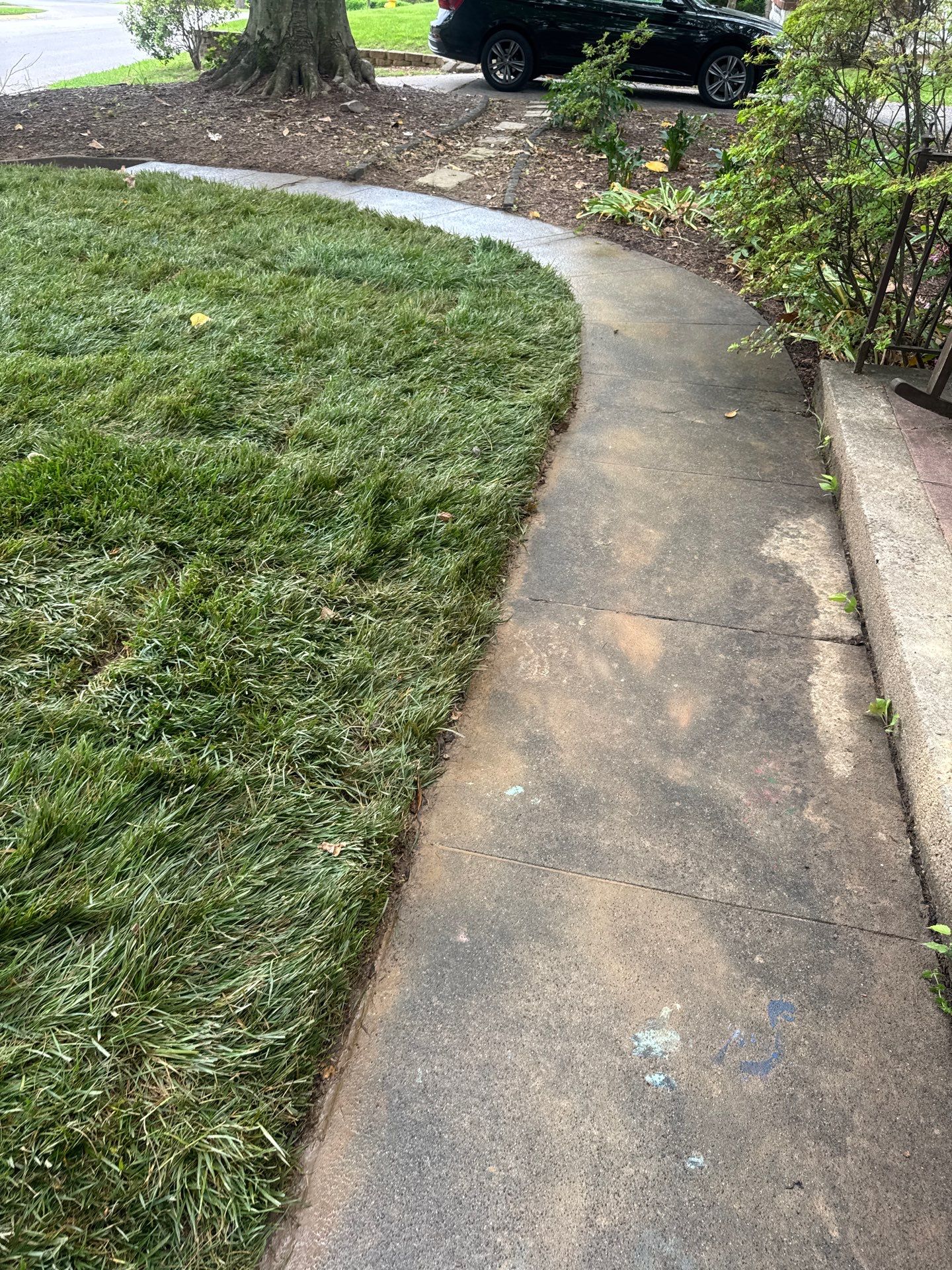 Sod Installation by Perfection Lawn & Landscape