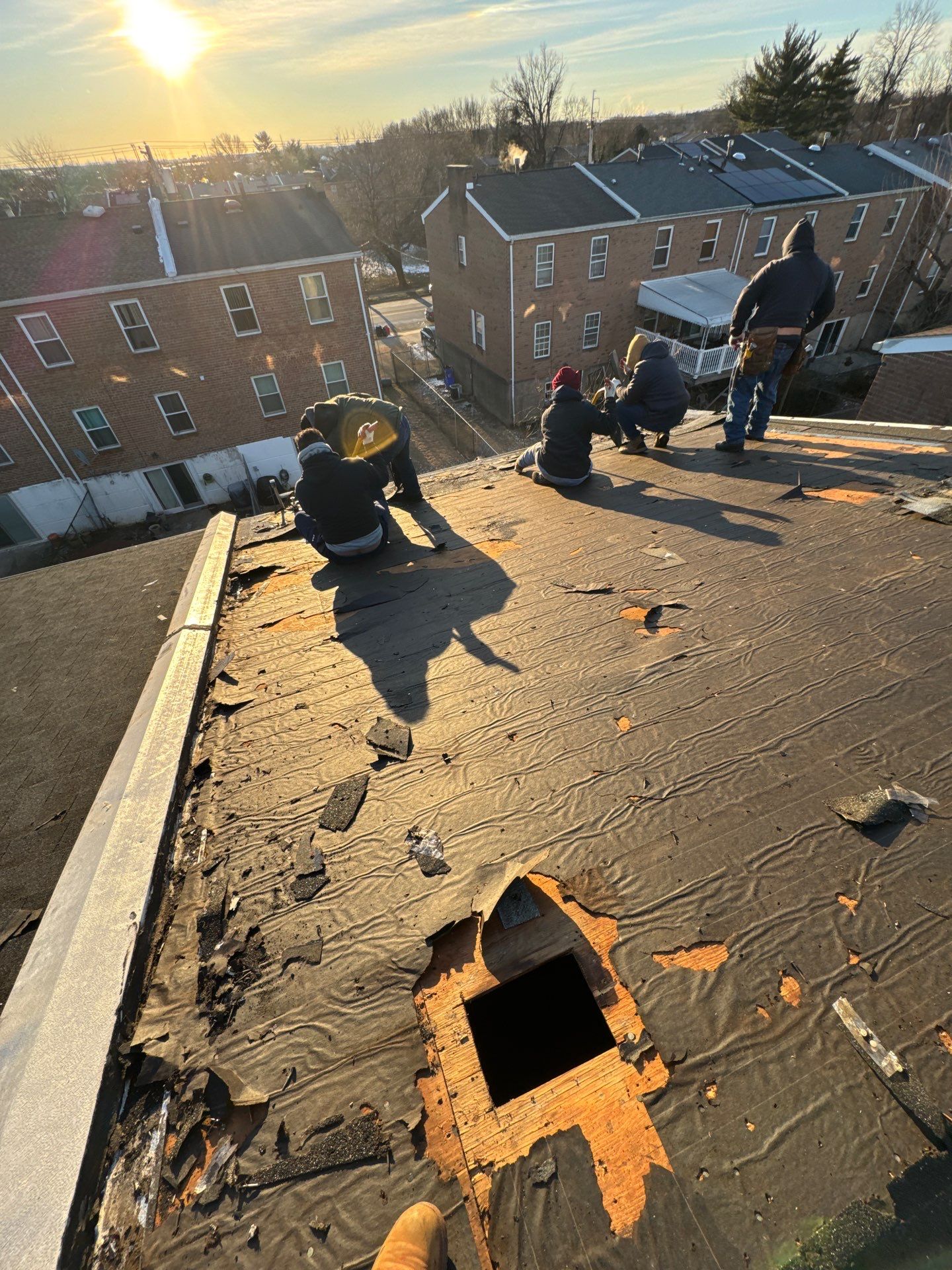 Silver Birch Shingles by Reimagine Roofing