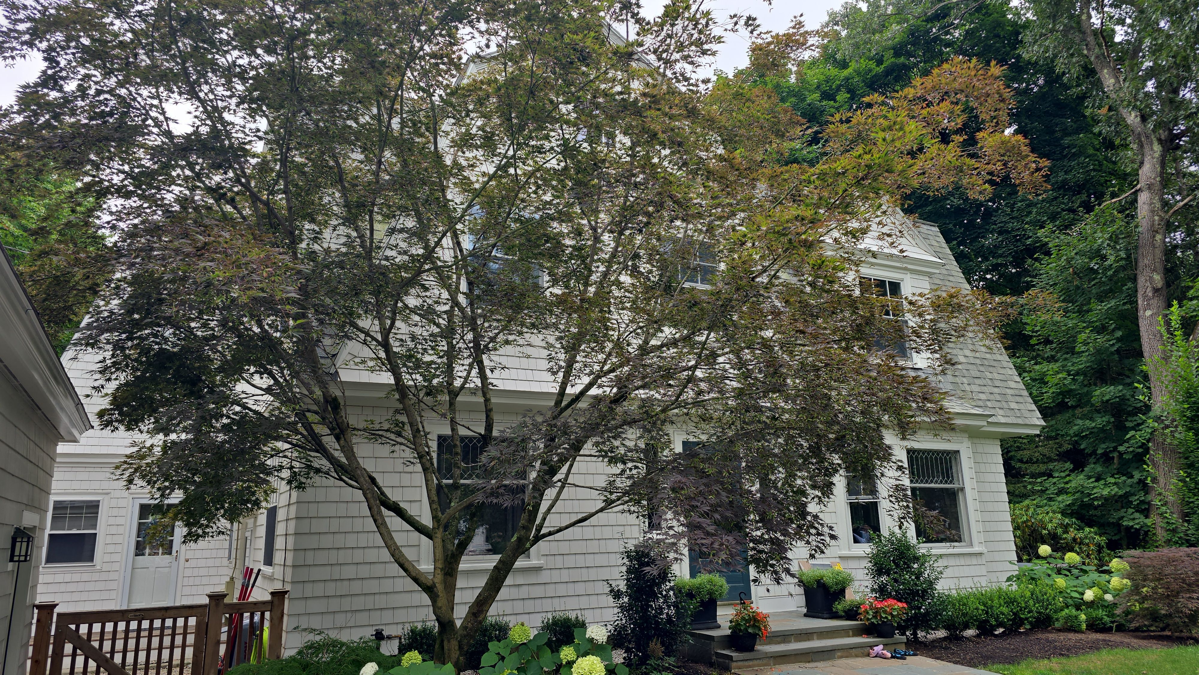 White cedar shingles and windows in Wayland, MA by UBrothers Construction