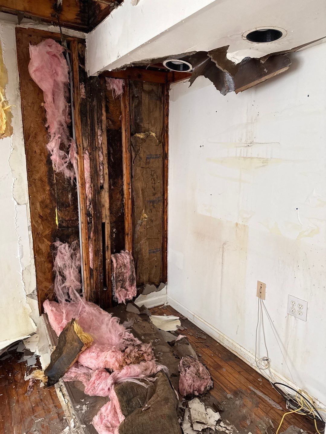 Large‑Loss Water Damage, Structural Drying & Mold Remediation – Rehoboth Beach, DE by Healthy Home Solutions