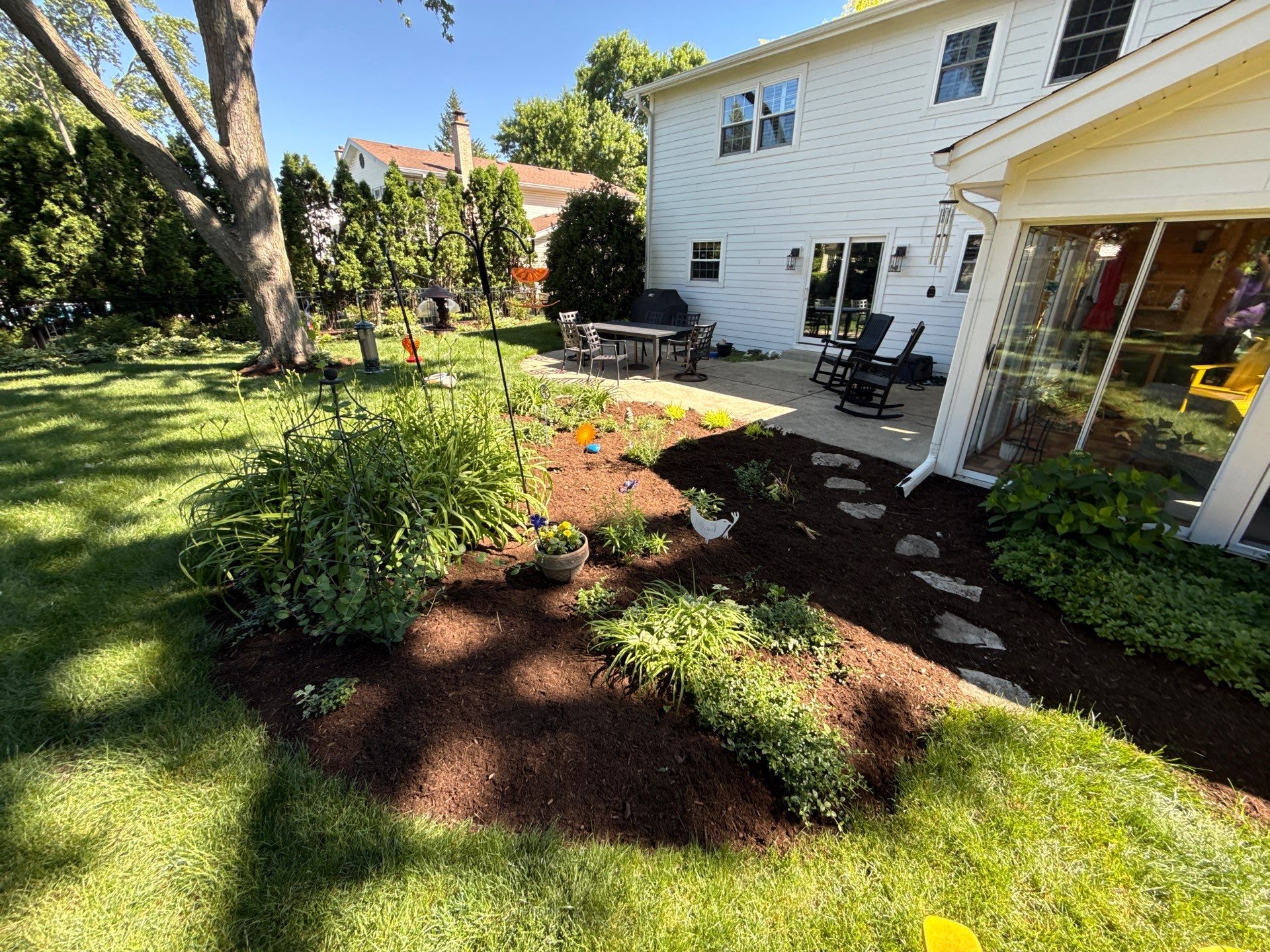 Lesley D. - Arlington Heights, IL by A&N 