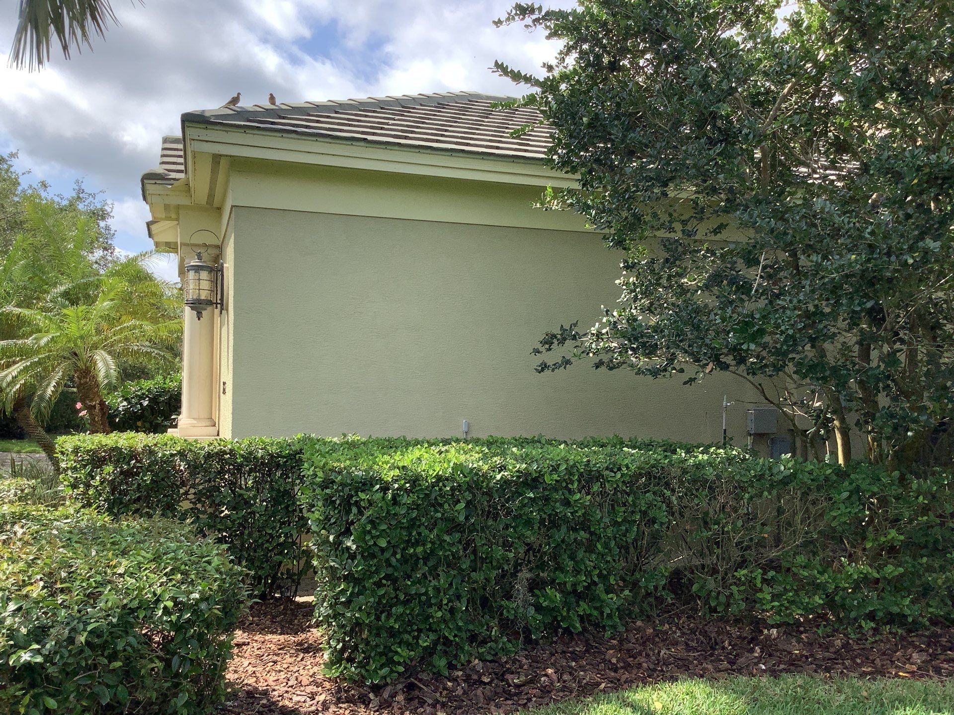 Gutter Project 7 inch seamless gutters using Cameo Gutters in Sarasota FL by Gutter Professors
