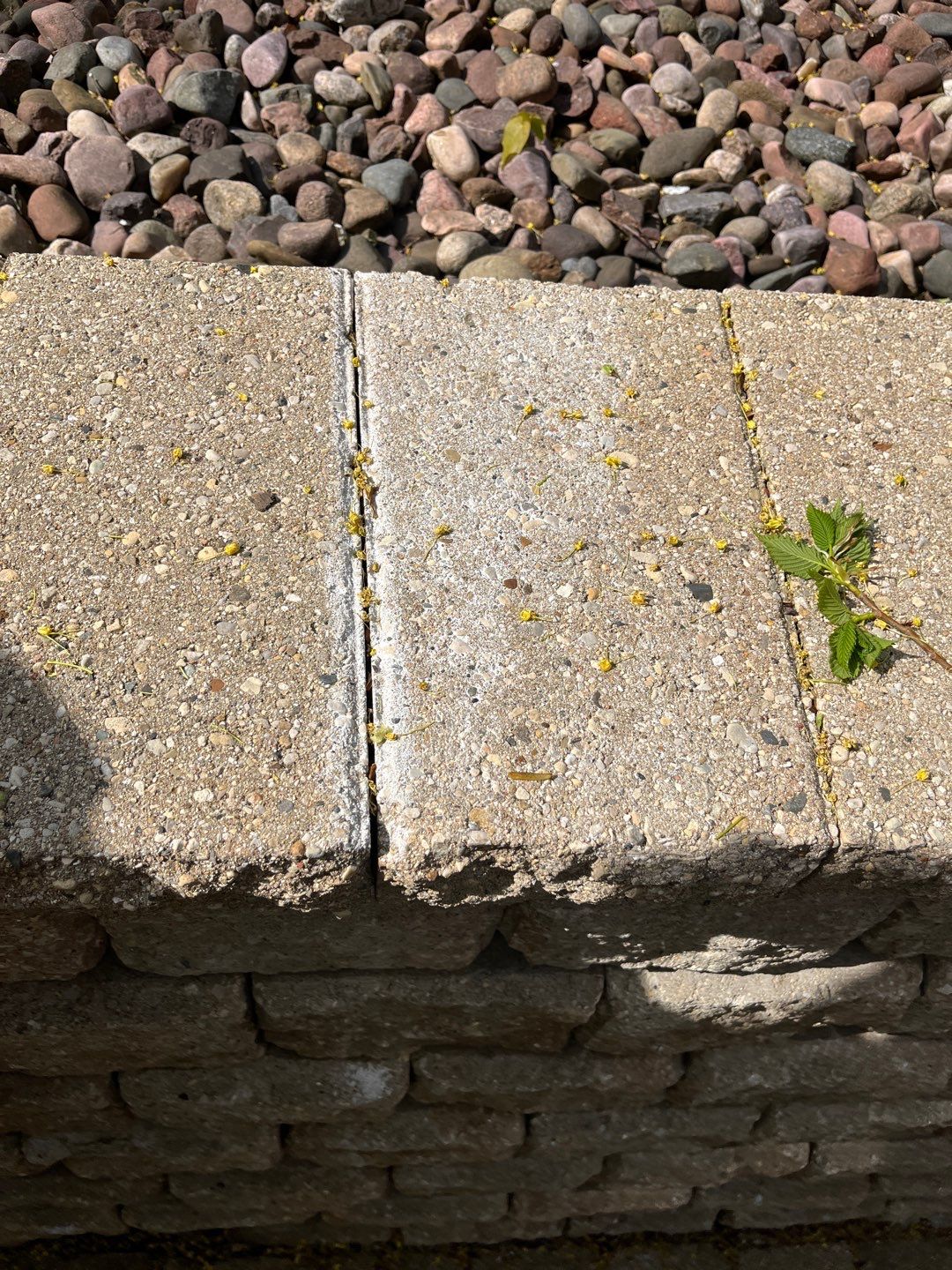Glencoe, IL brick paver cleaning and stone cleaning by Northern Power Washing LLC.