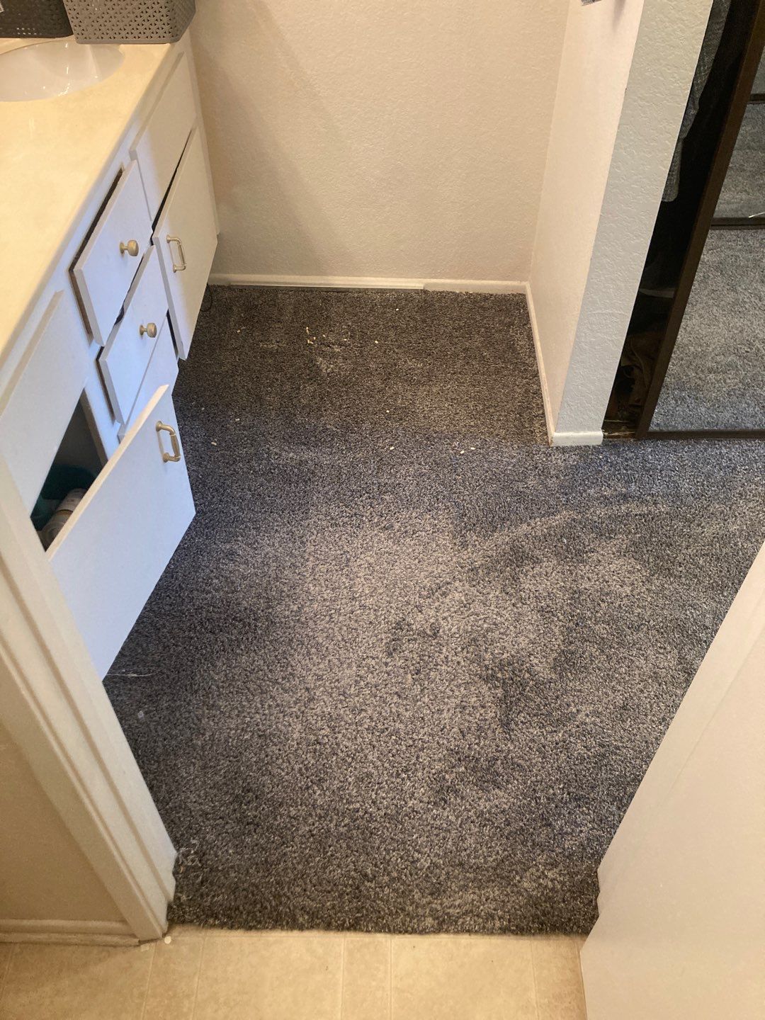 Replace Carpet with LVP by Andre Handyman