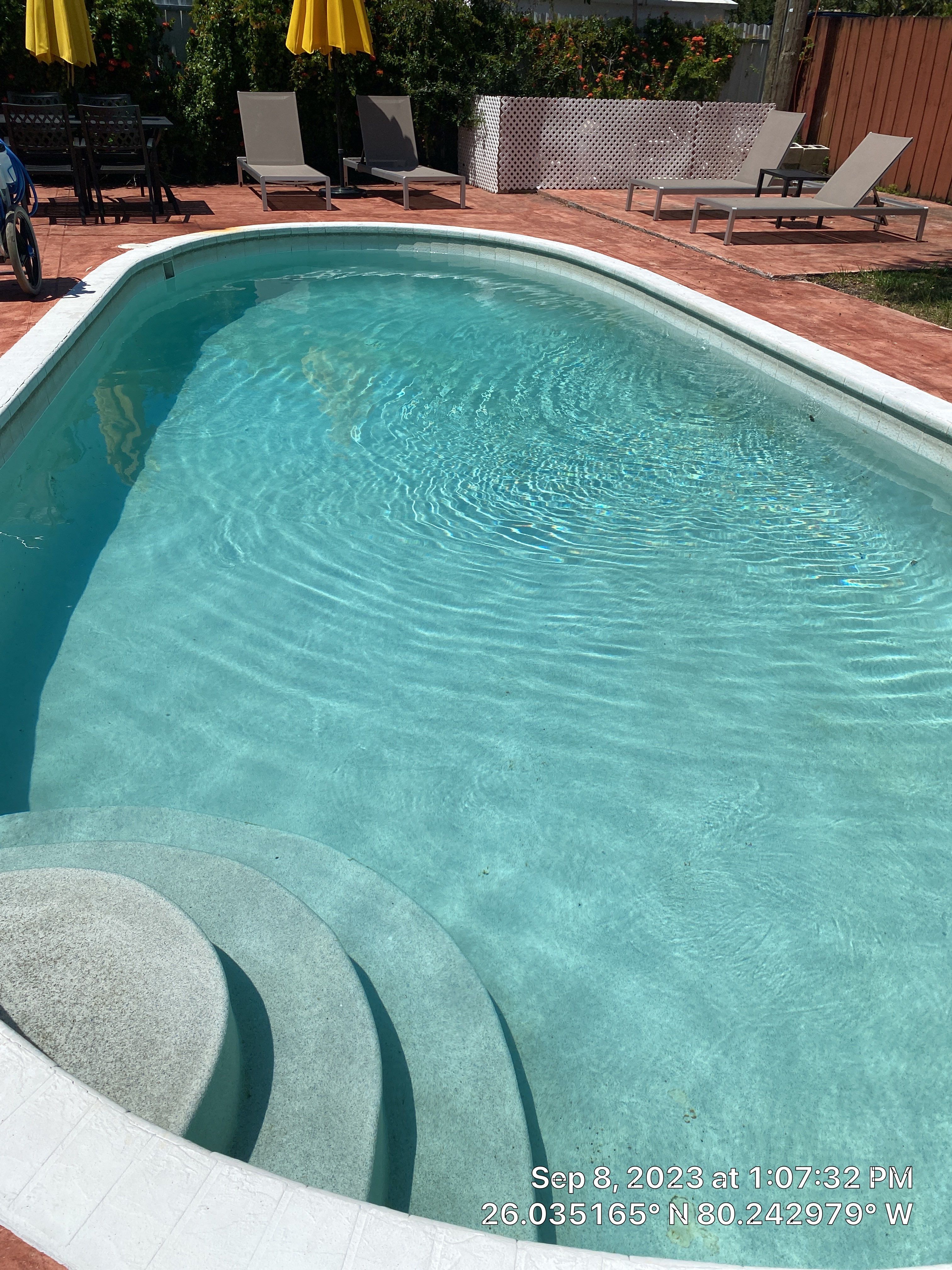 Hollywood by Luxury MPM Services