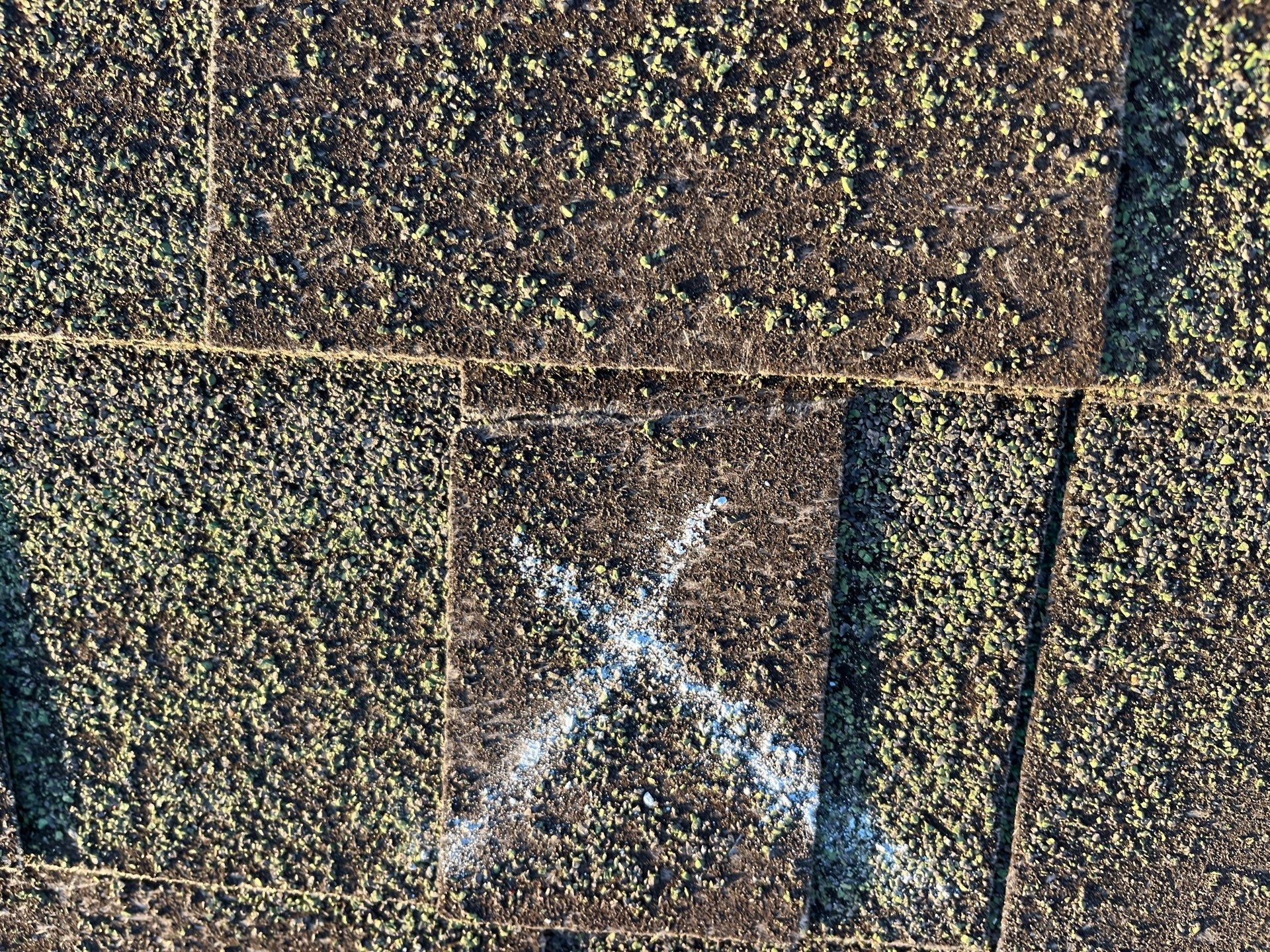 Project in Spokane by Connolly Construction Company