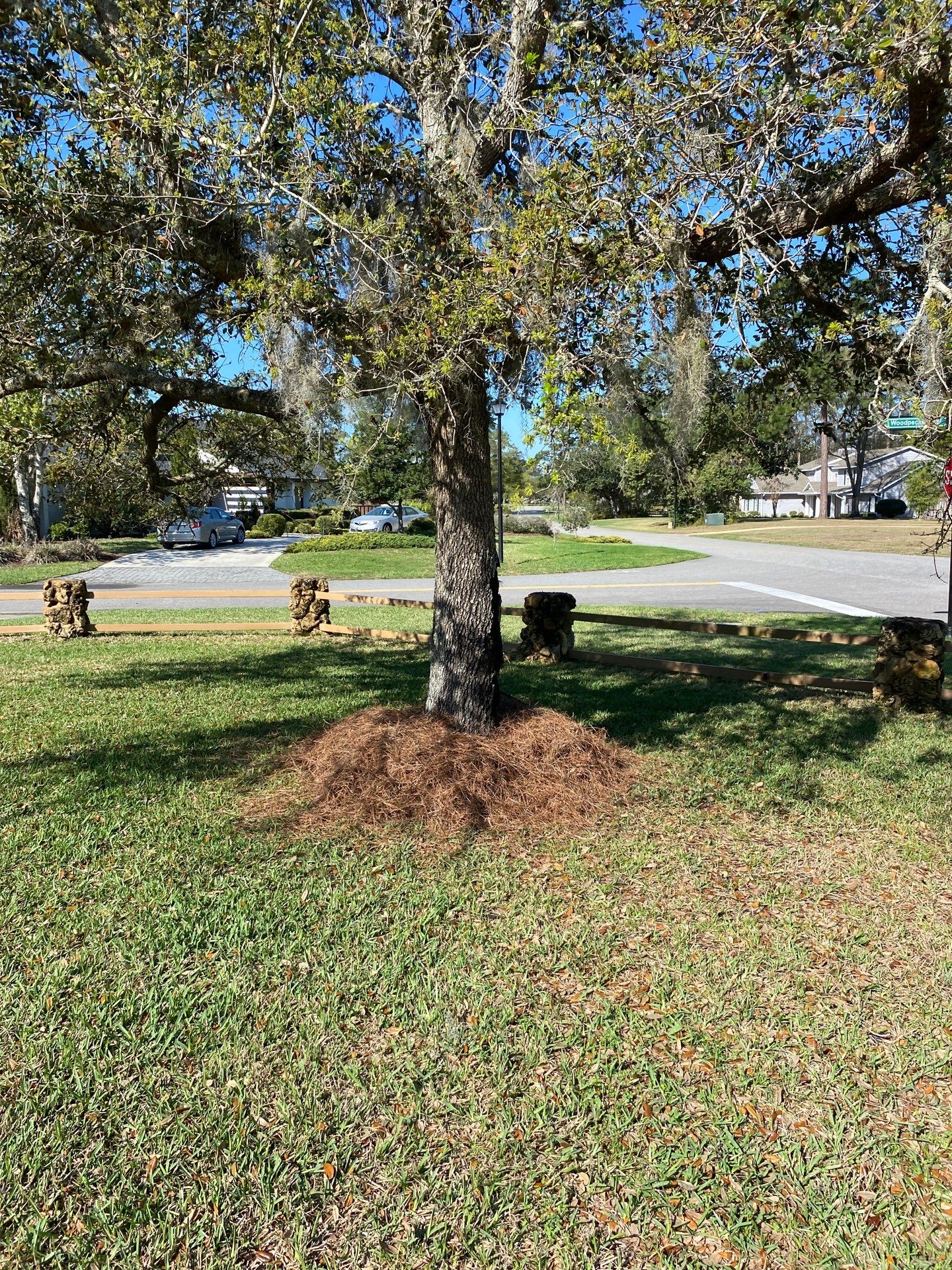 Deerwood Resident | Landscaping by ProGreen Services