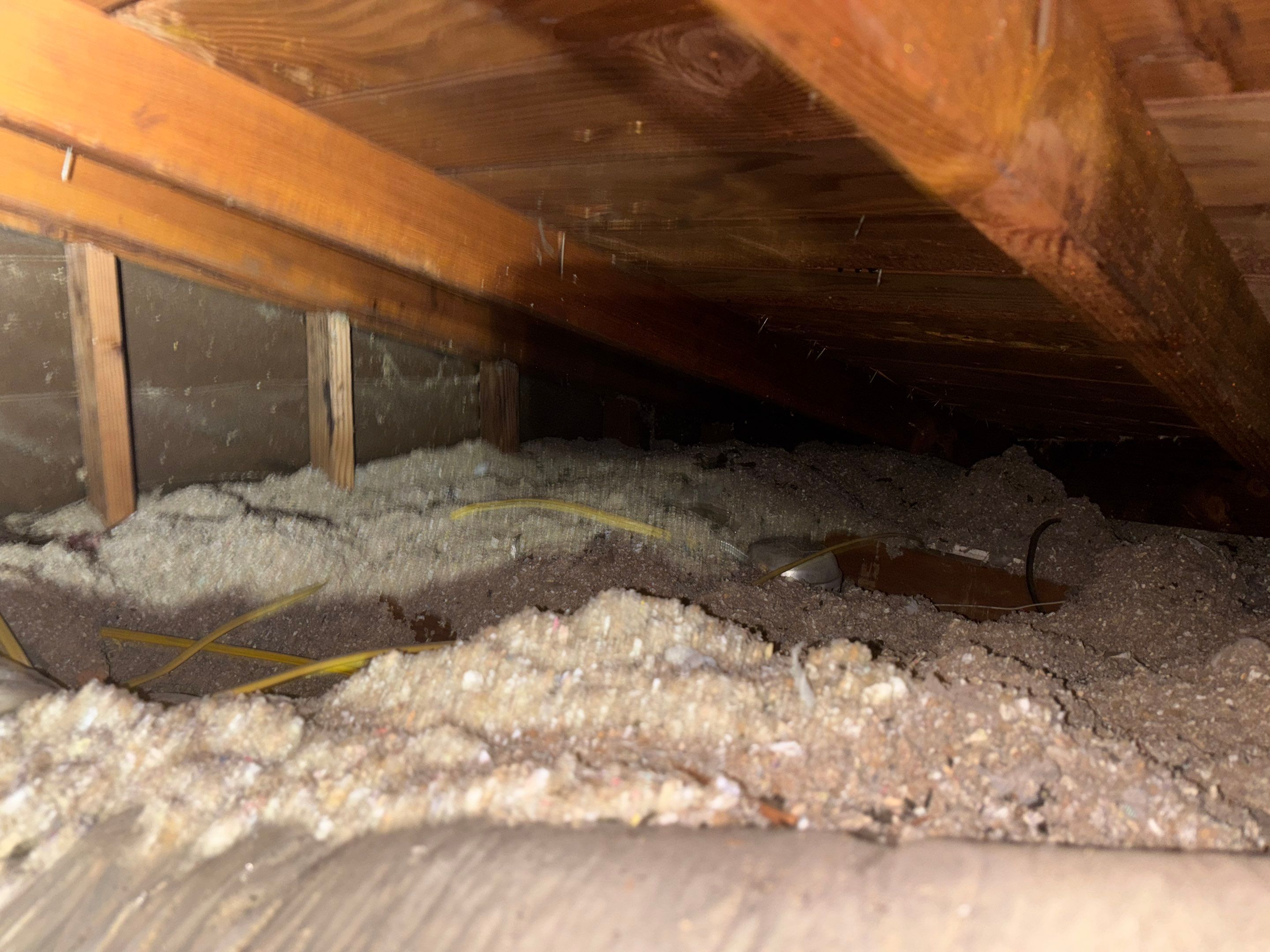 Project in Altadena by Insulation Labs