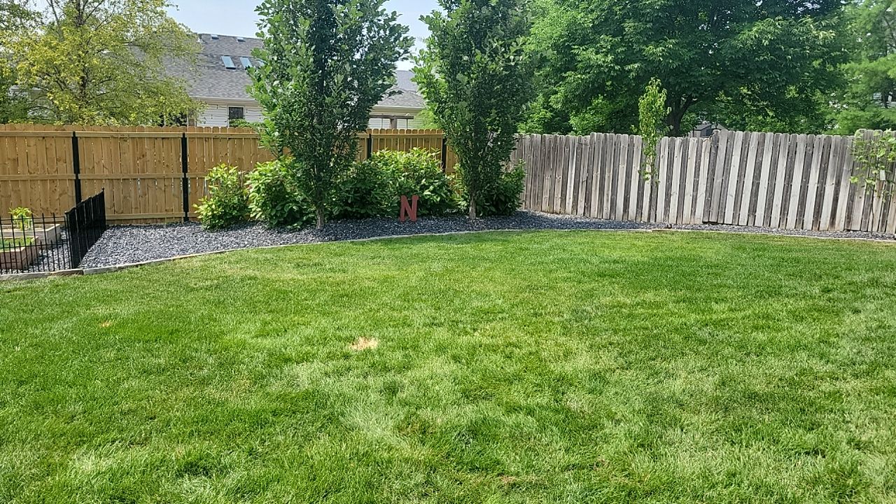 Landscape upadates. by New Horizon Landscapes