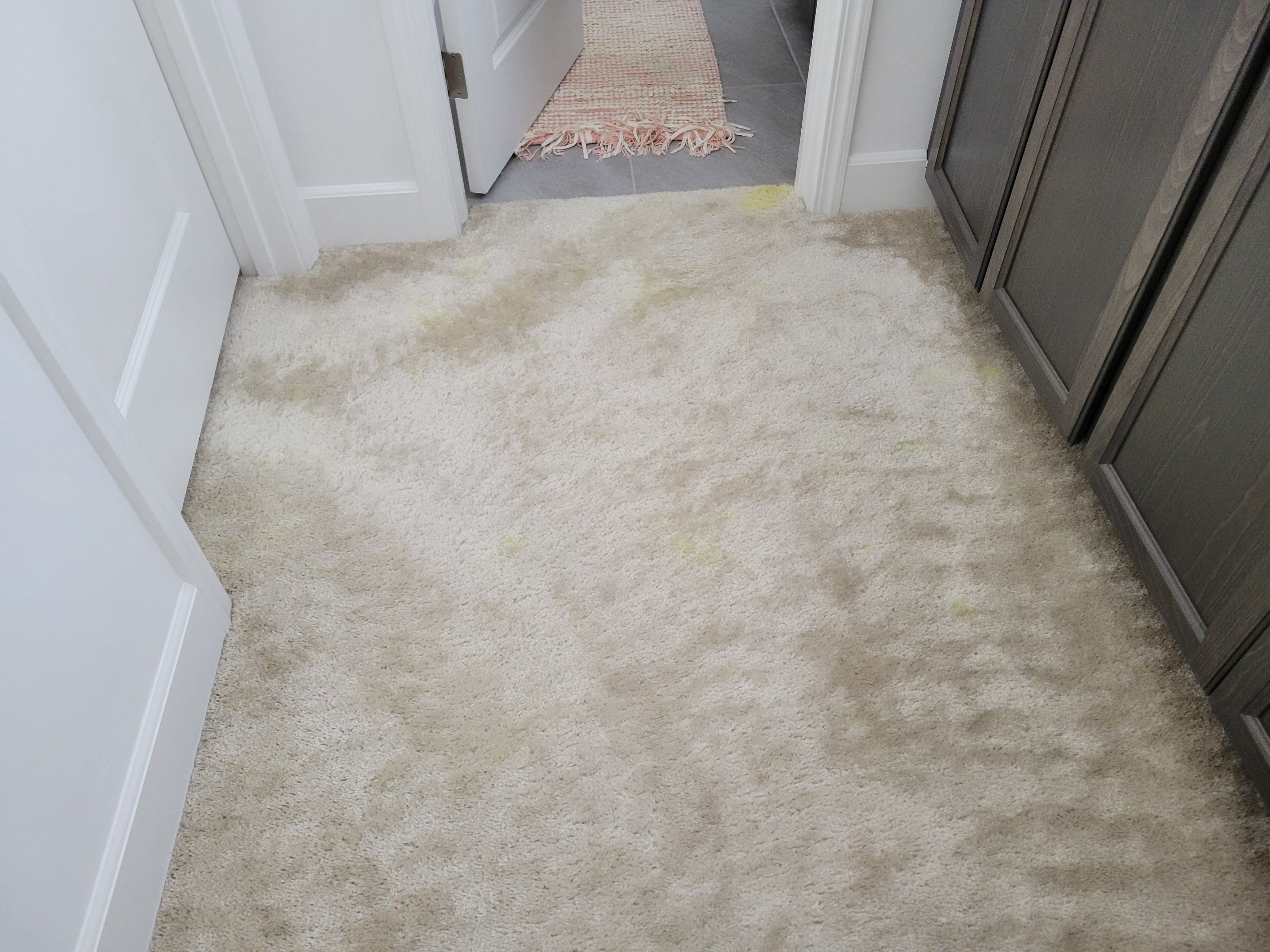 Carpet Repair of Paint, Stain & Bleach by Ardent Carpet Restore LLC
