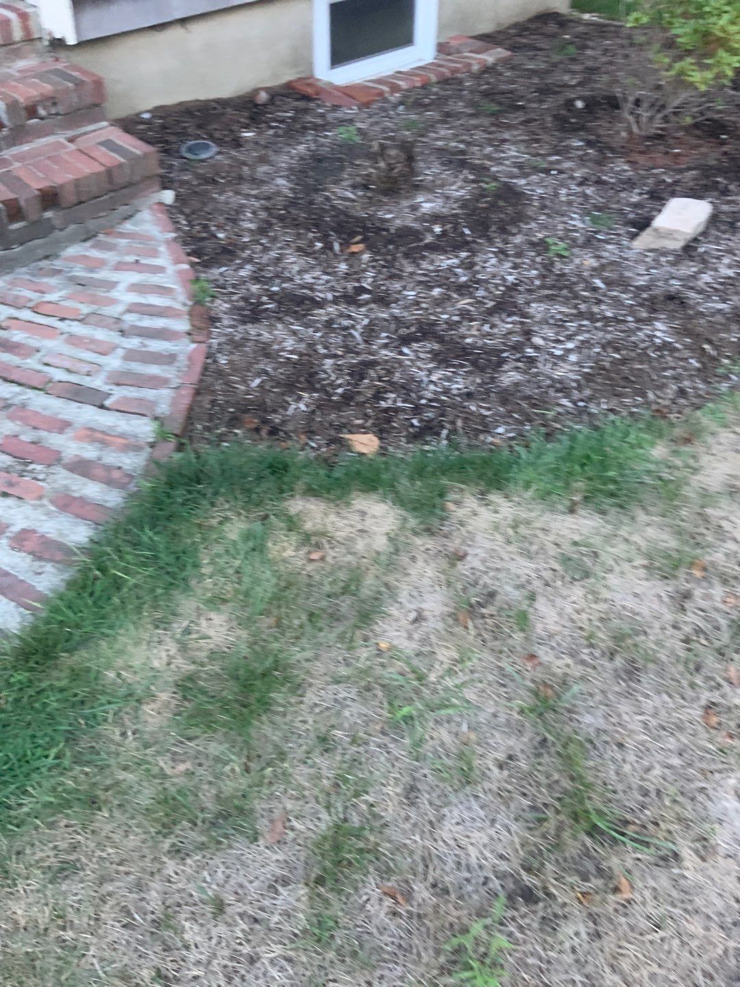 Siidng Project in Needham, MA by UBrothers Construction