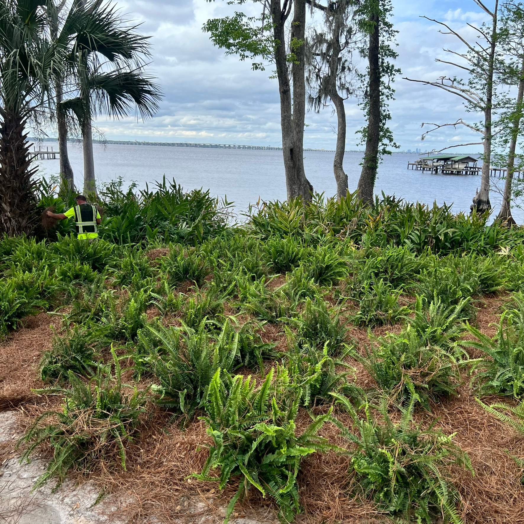 Landscape Install | Residence by ProGreen Services