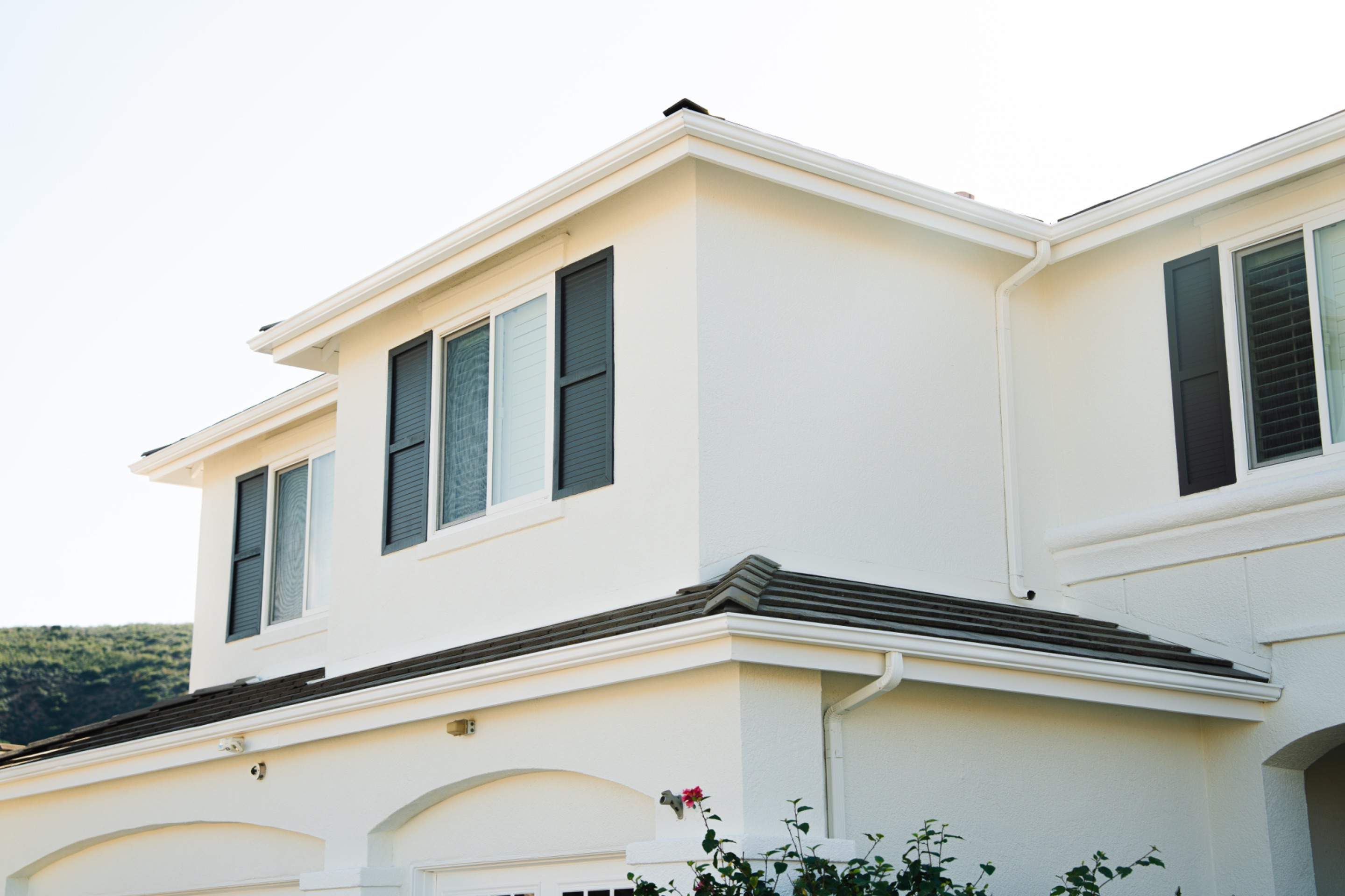 Clayton/Lindsay by Asis Painting Inc 