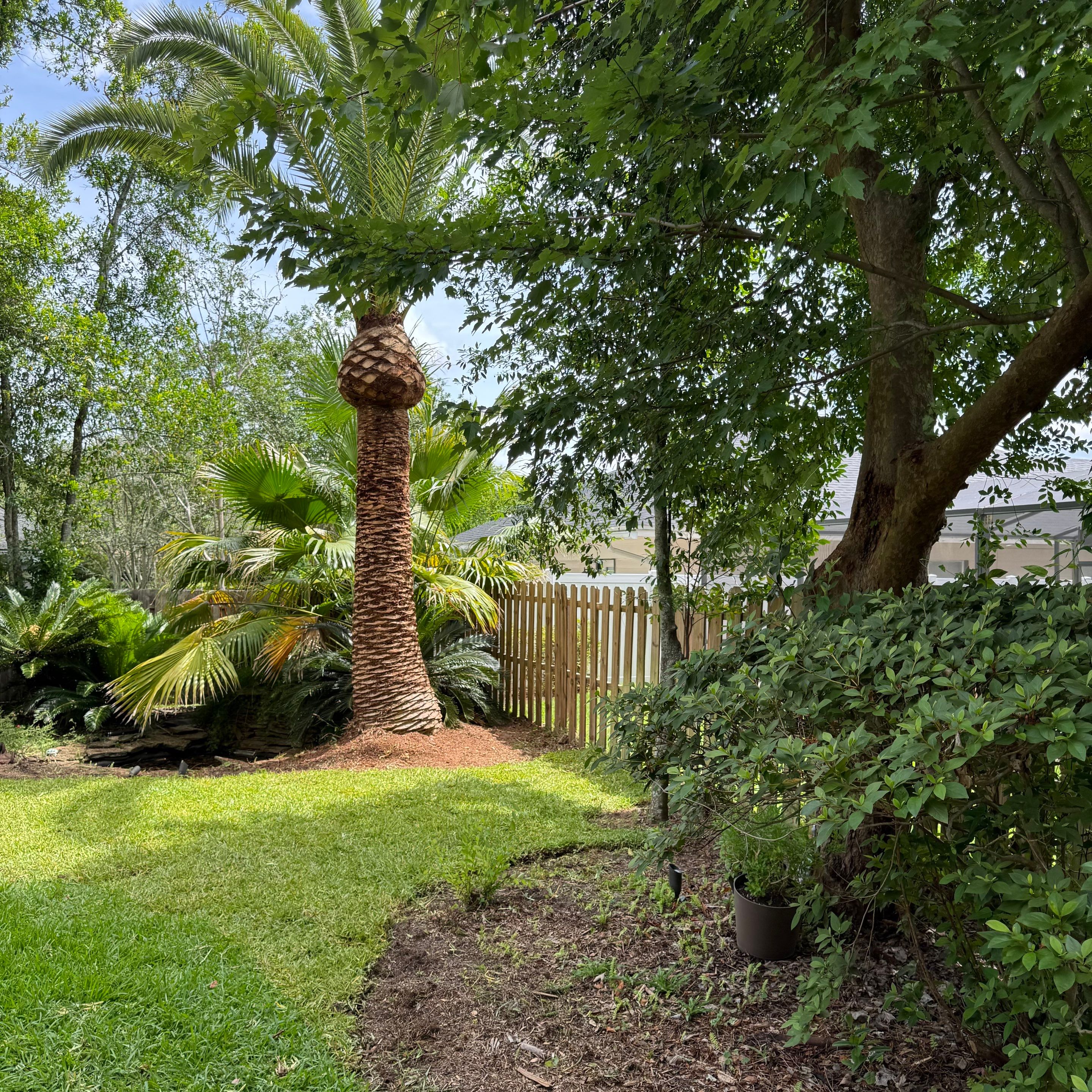 Deerwood Resident | Tree Trimming & Sod Install by ProGreen Services