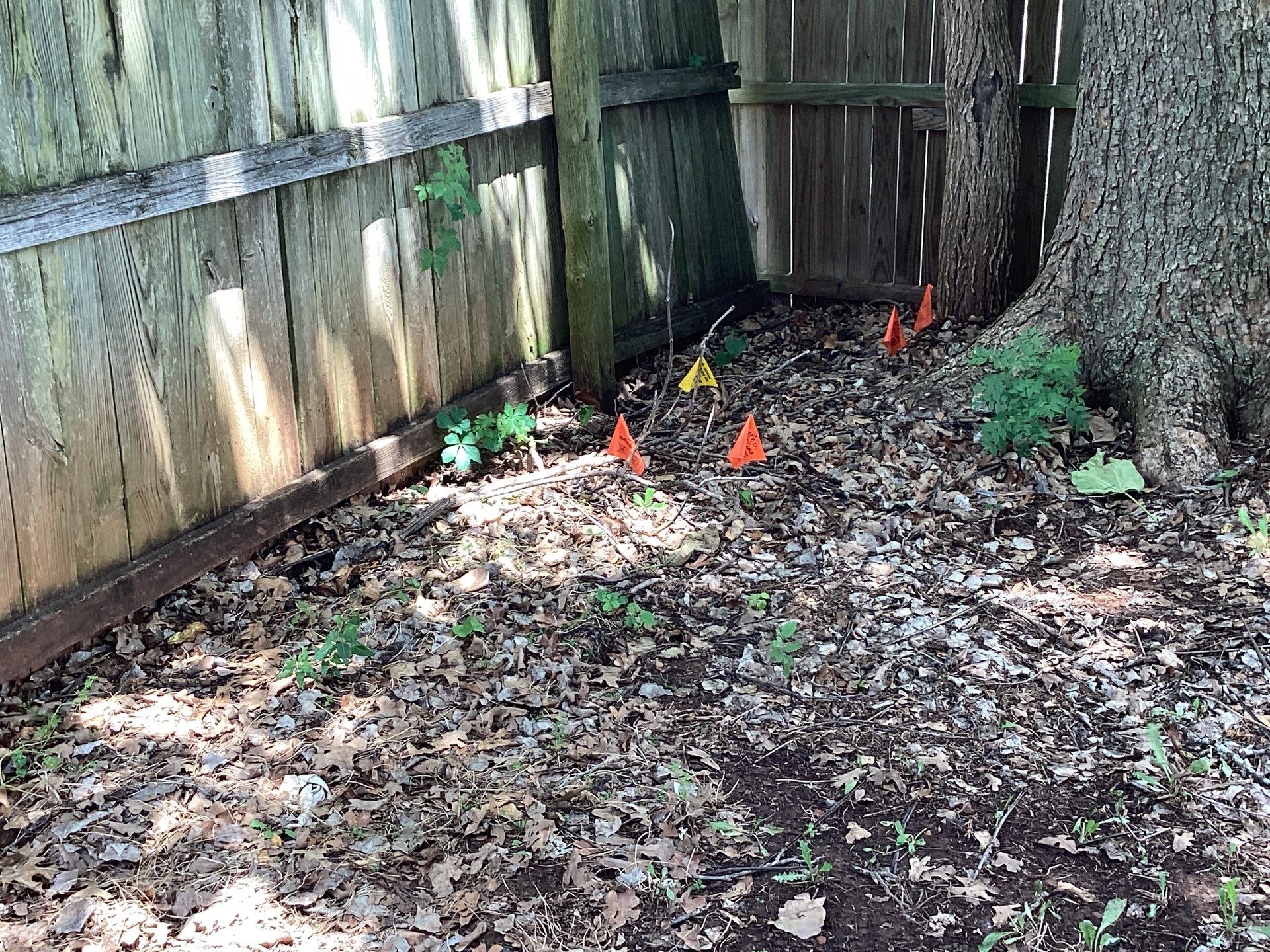 Project in Oklahoma City by PRO-ROOTER