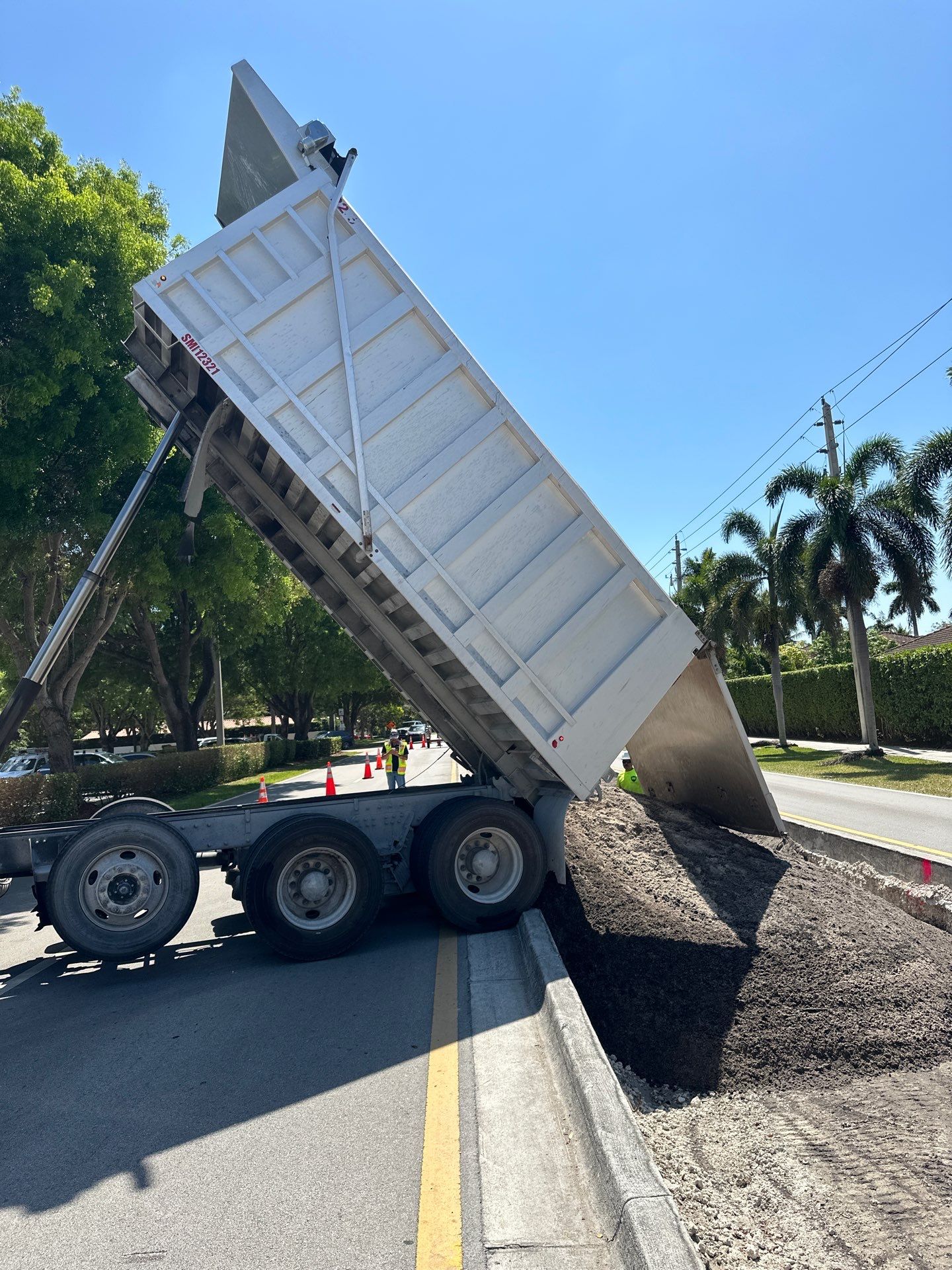 Pinecrest Median - New Native Landscape by Nature's Dream by Nature's Dream Landscape and Tree Service