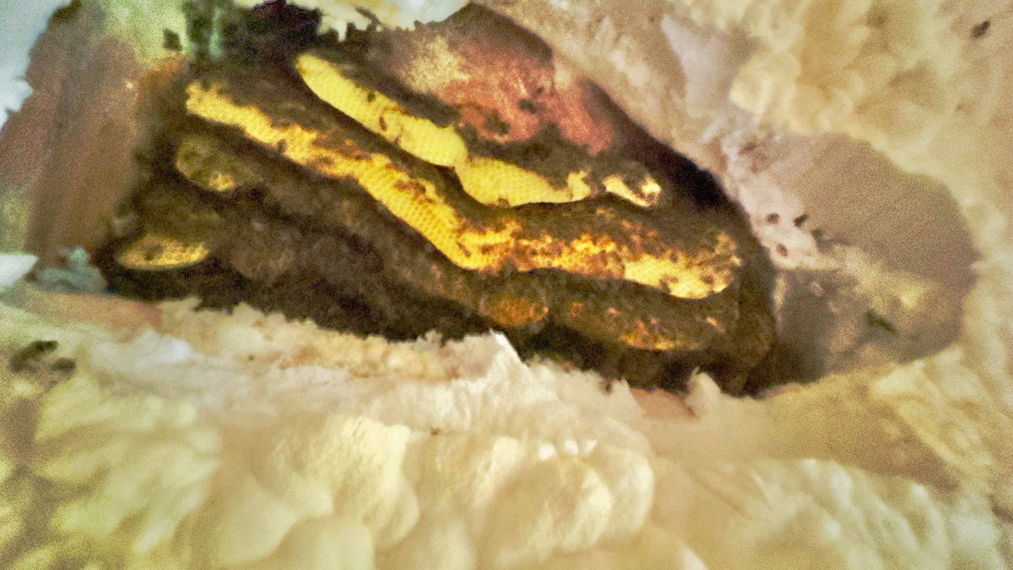 Spray Foam Chewers by Rockwall Honey Bee Company