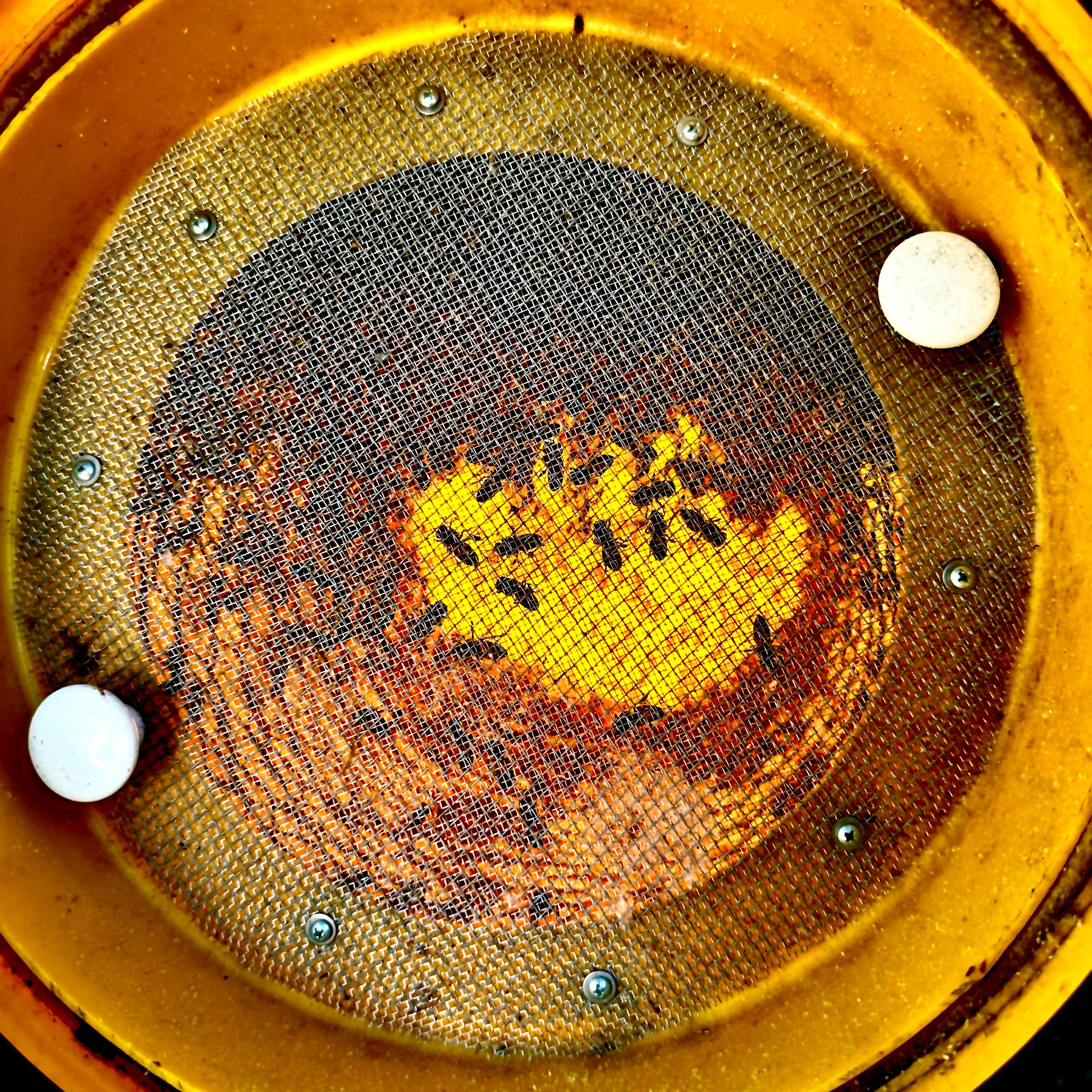 Ceiling, not Wall by Rockwall Honey Bee Company