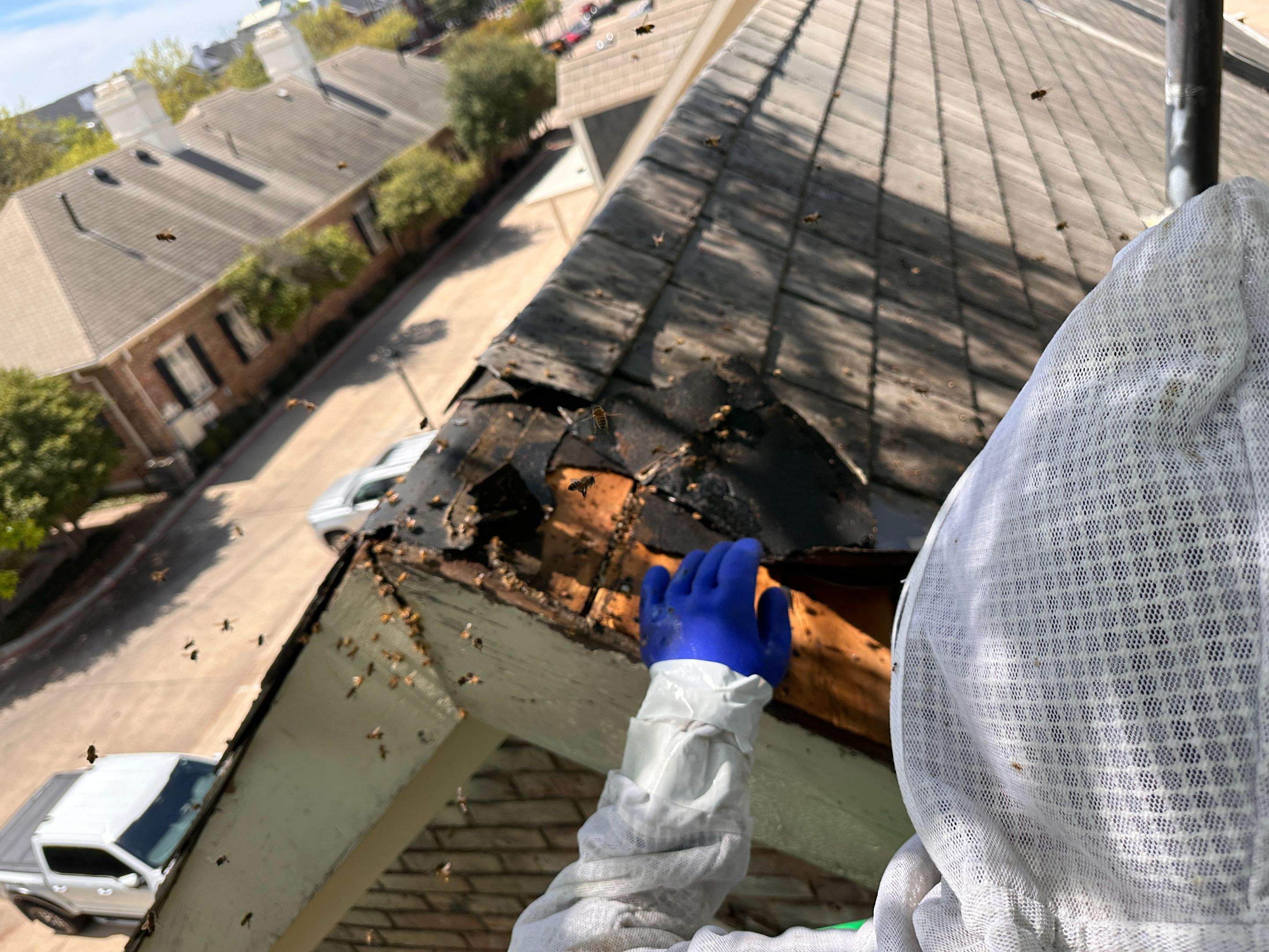 Commercial Roof by Rockwall Honey Bee Company