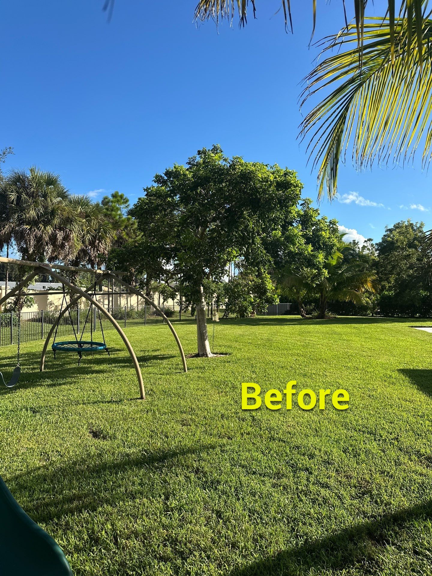 From Overgrown to Picture-Perfect - Stuart Refresh by Alpha Zeta Enterprises Inc