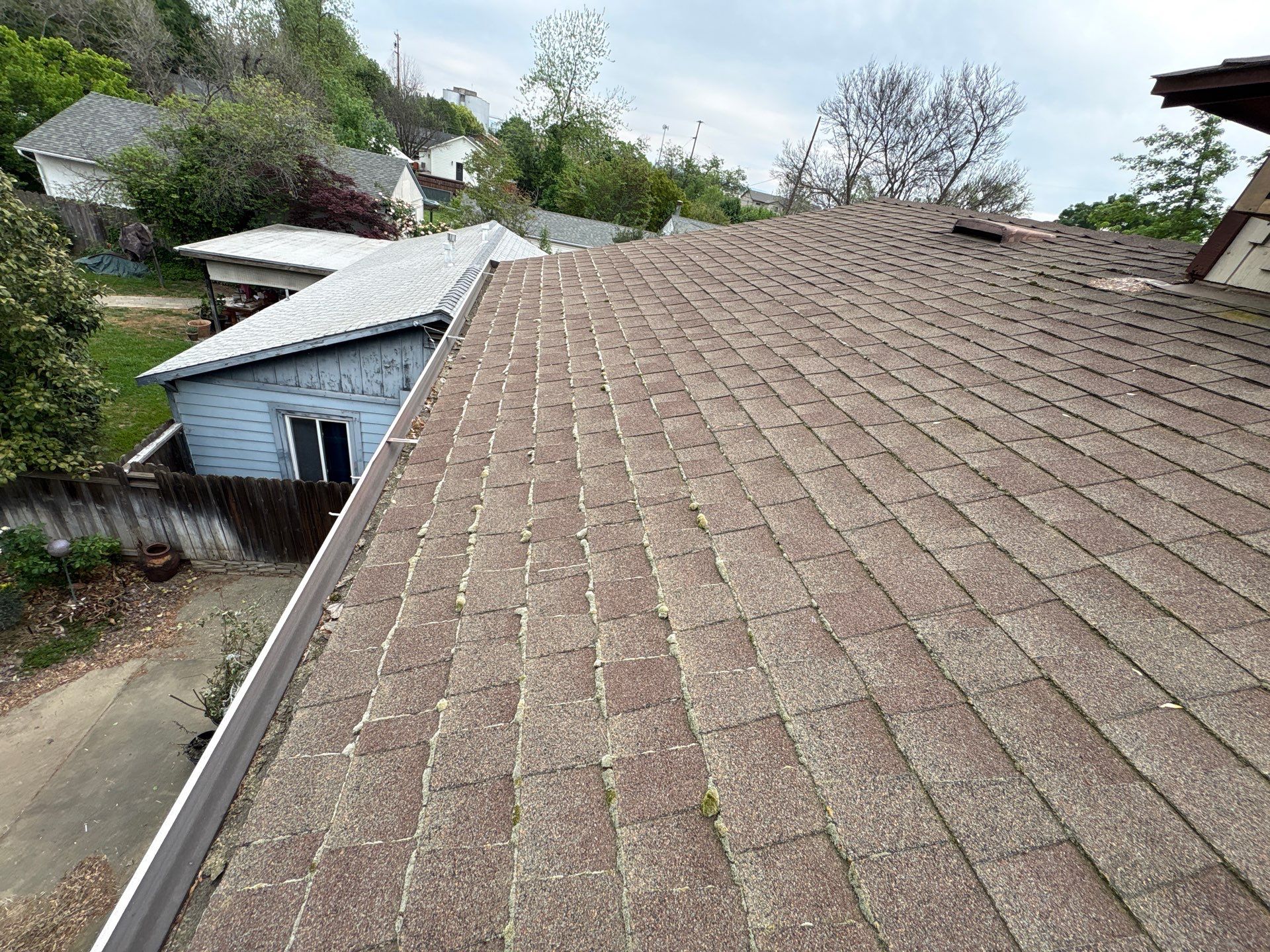 Roof Rejuvenation using Roof Maxx Treatment by Roof Maxx of Folsom
