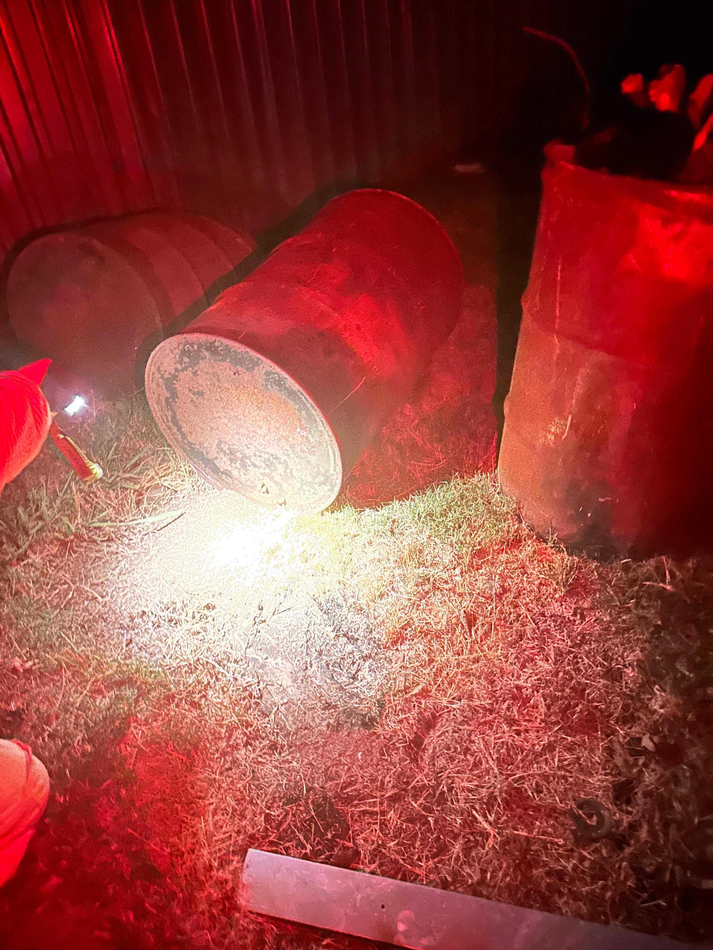 Bumblebees! by Rockwall Honey Bee Company