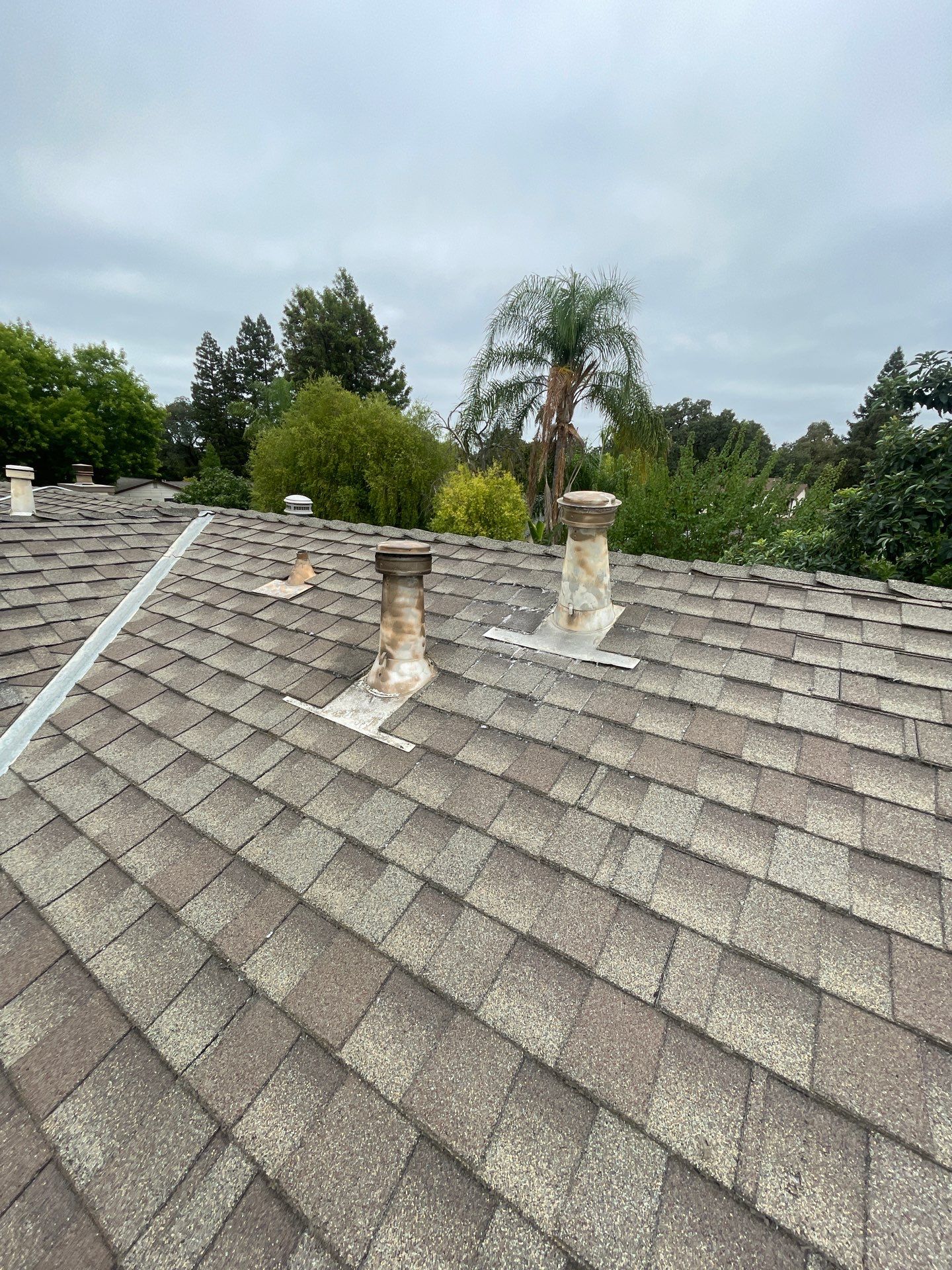 Roof Rejuvenation using Roof Maxx Treatment by Roof Maxx of Folsom