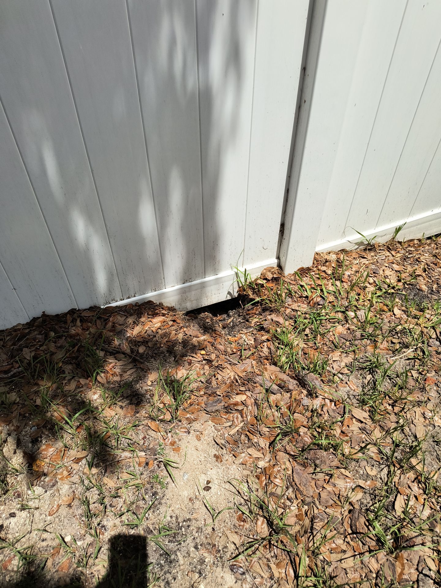 Professional Gutter Cleaning in Lutz FL by Gutter Professors