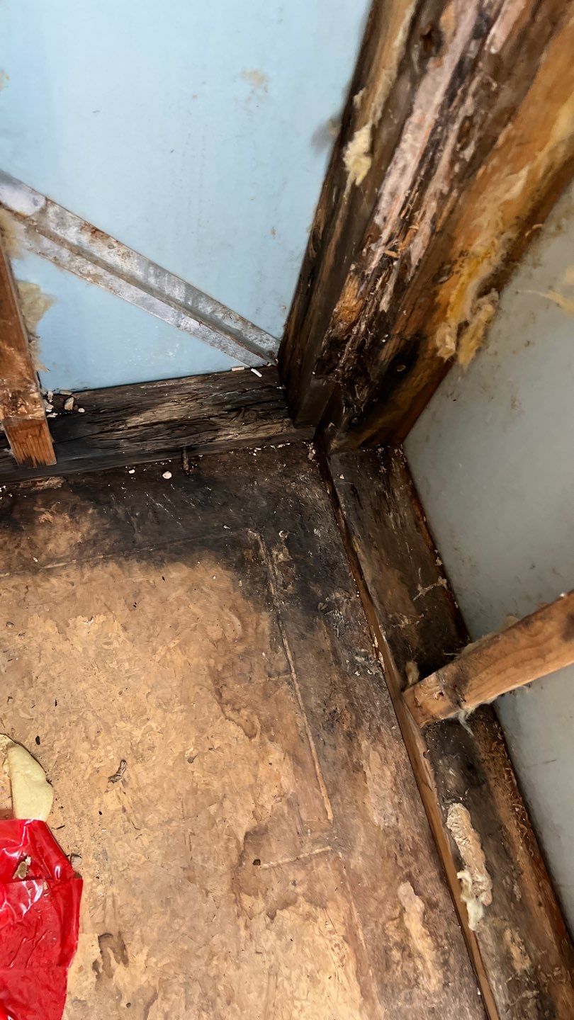 Water Damage and Mold Remediation by Accountable Home Services