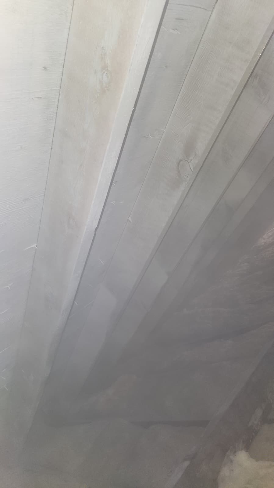 Attic Mold Remediation in Montville, NJ by Pure Service Pro, LLC