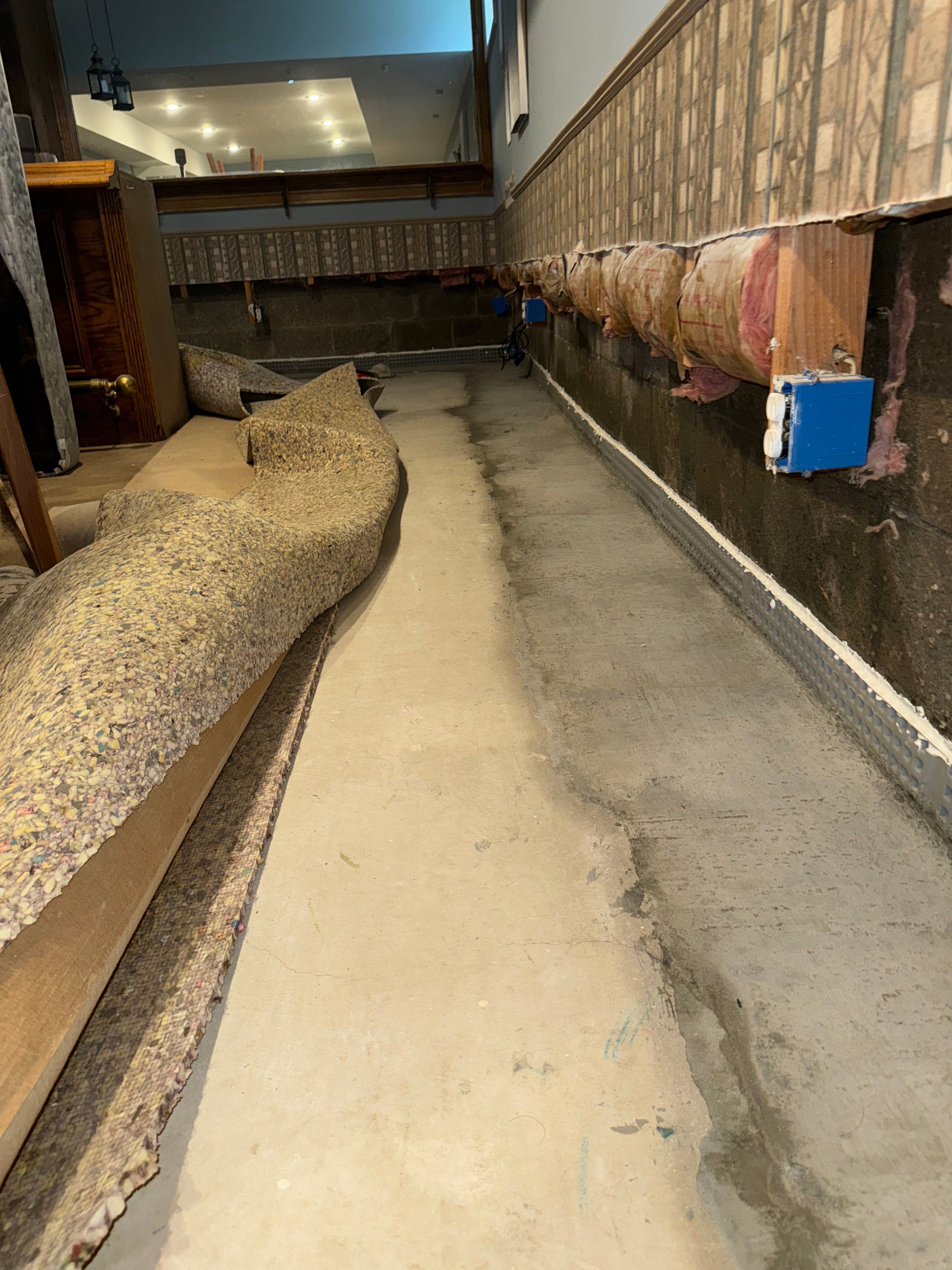 Interior French Drain With Radon Seal & Mold Remediation in Wall Township by Pure Service Pro, LLC 