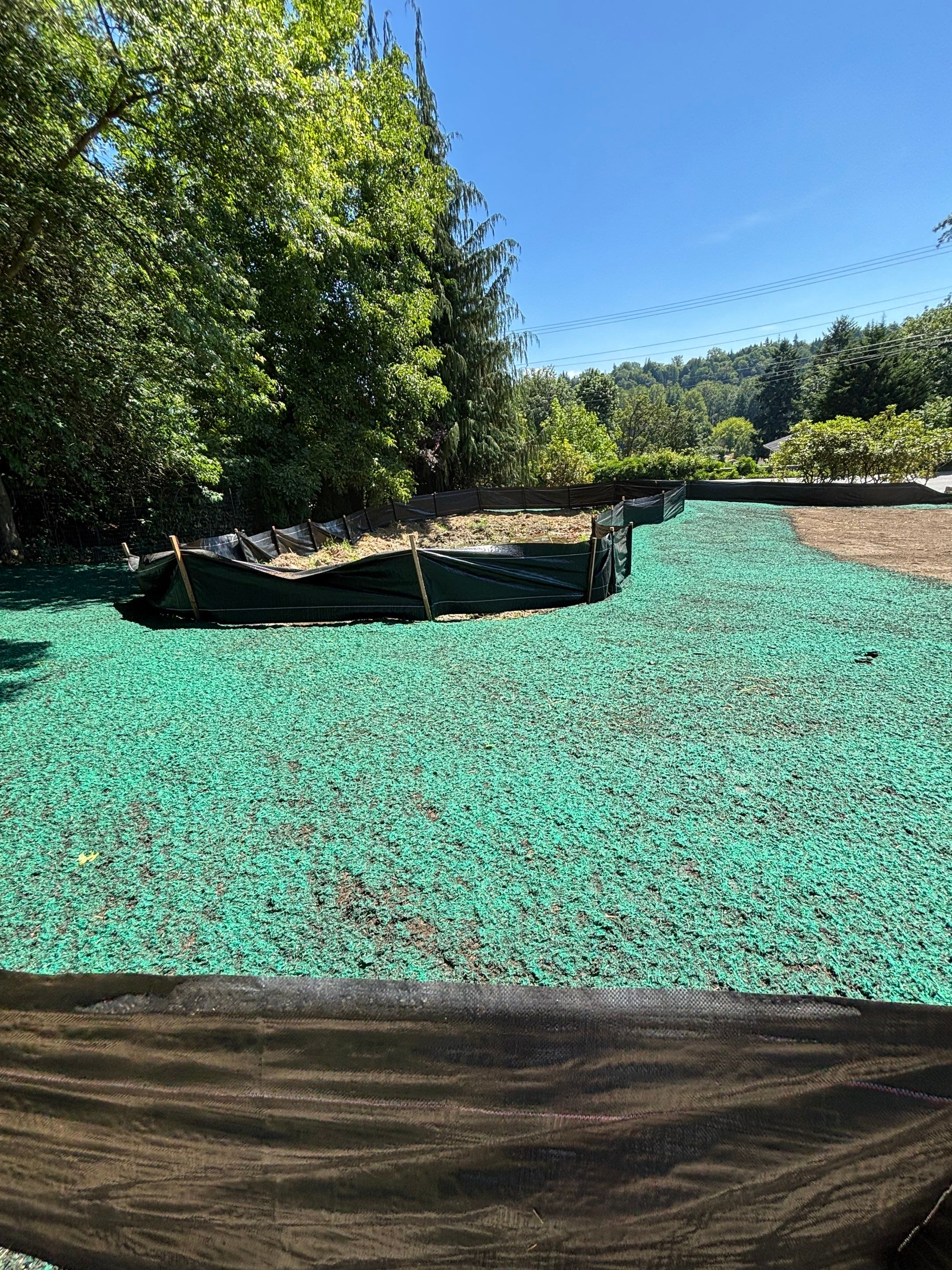 Maple Ave Renovation by Pacific Pine Landscape