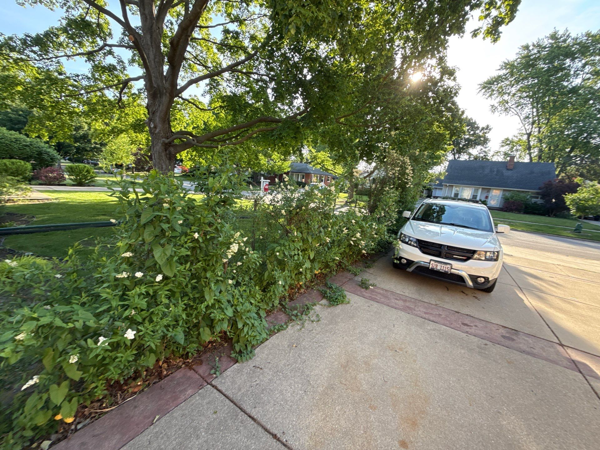 Bryan, F. - Arlington Heights, IL  by A&N 