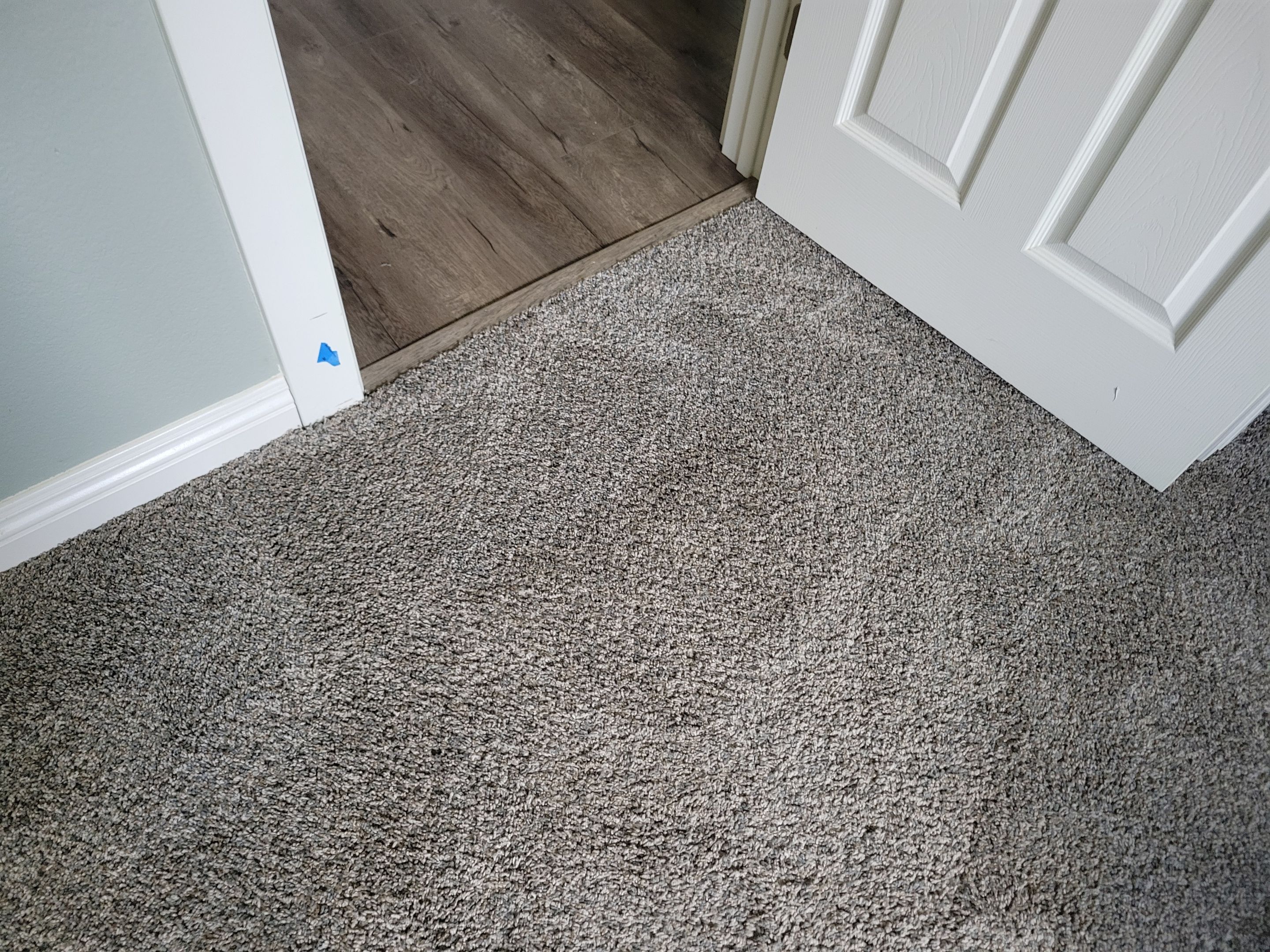 Carpet Repair, Dog Damage in West Sac by Ardent Carpet Restore LLC