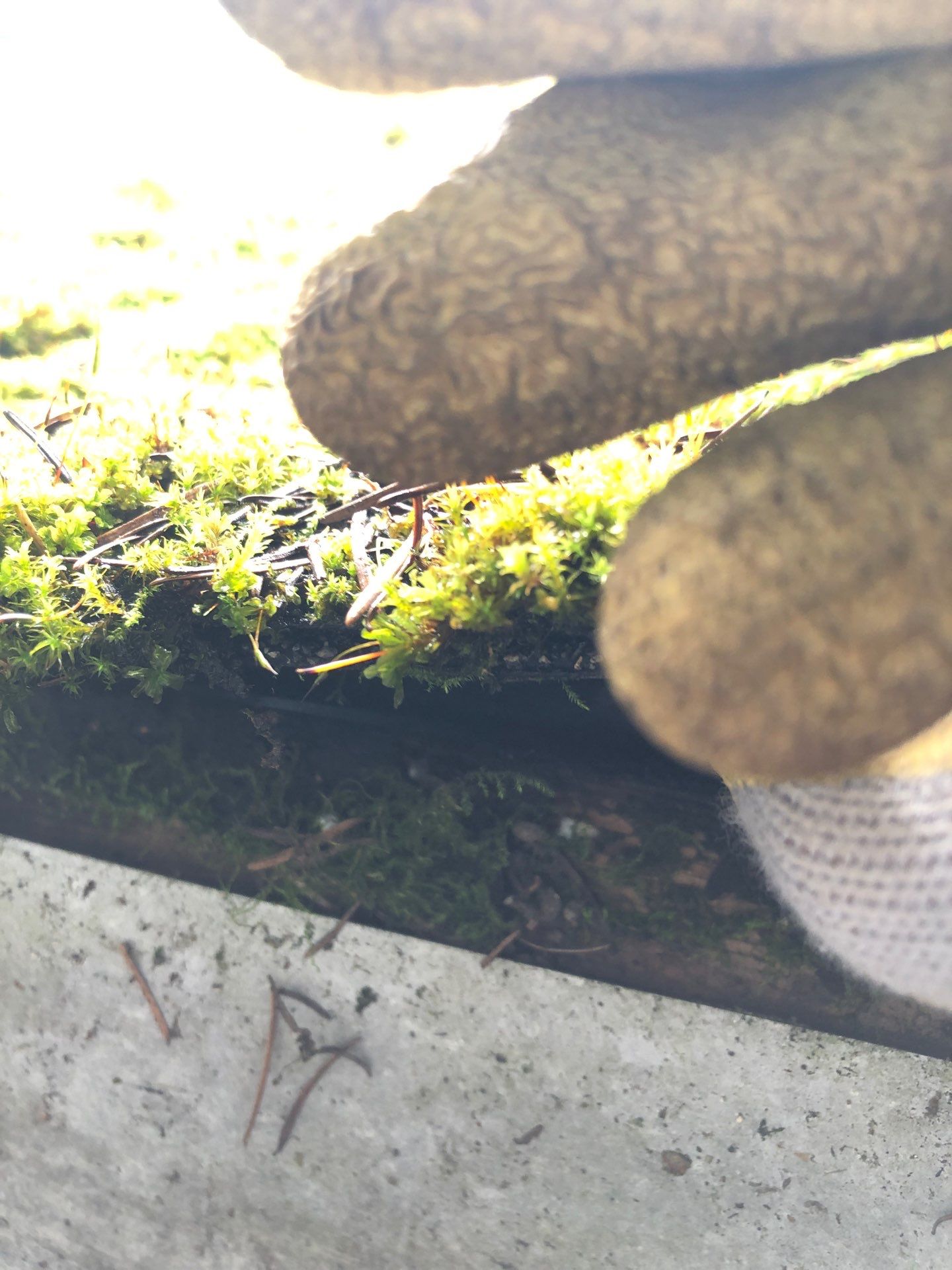 Project in Seattle by Connolly Construction Company