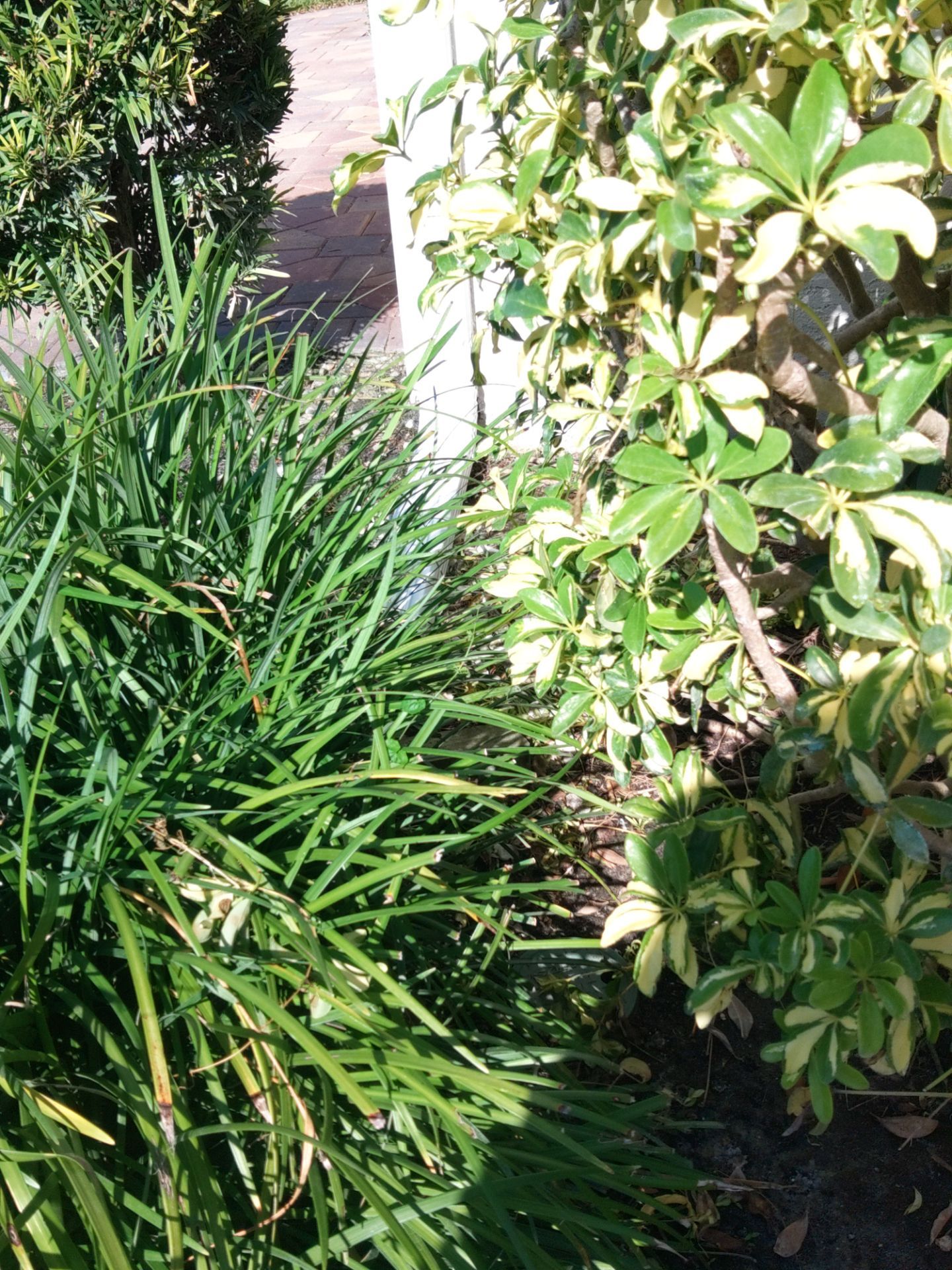 Soffit Ventilation Upgrade in Sarasota FL by Gutter Professors