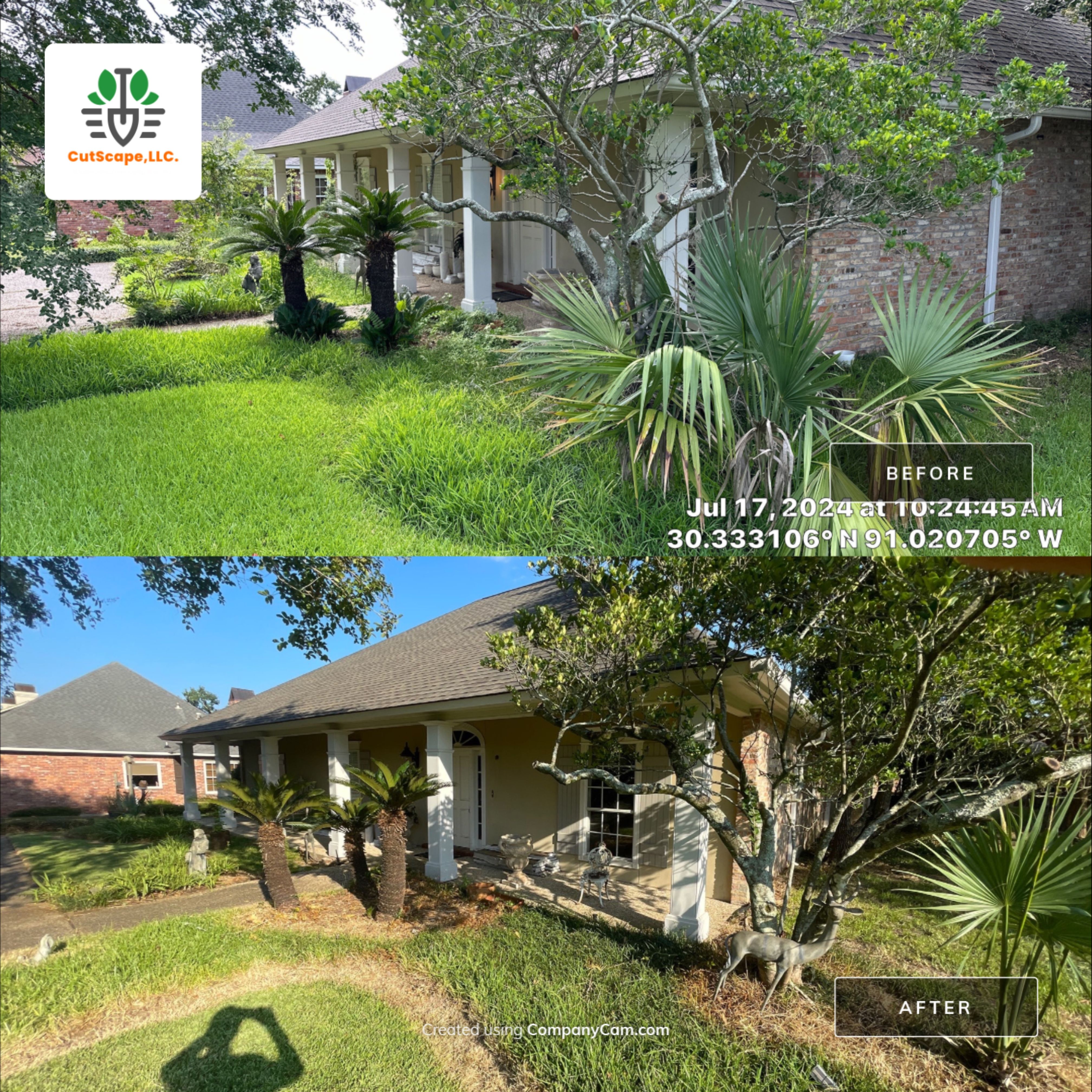 HERBICIDE / CLEAN OUT / TRIM / BRUSH DEBRIS REMOVAL by CutScape, LLC.