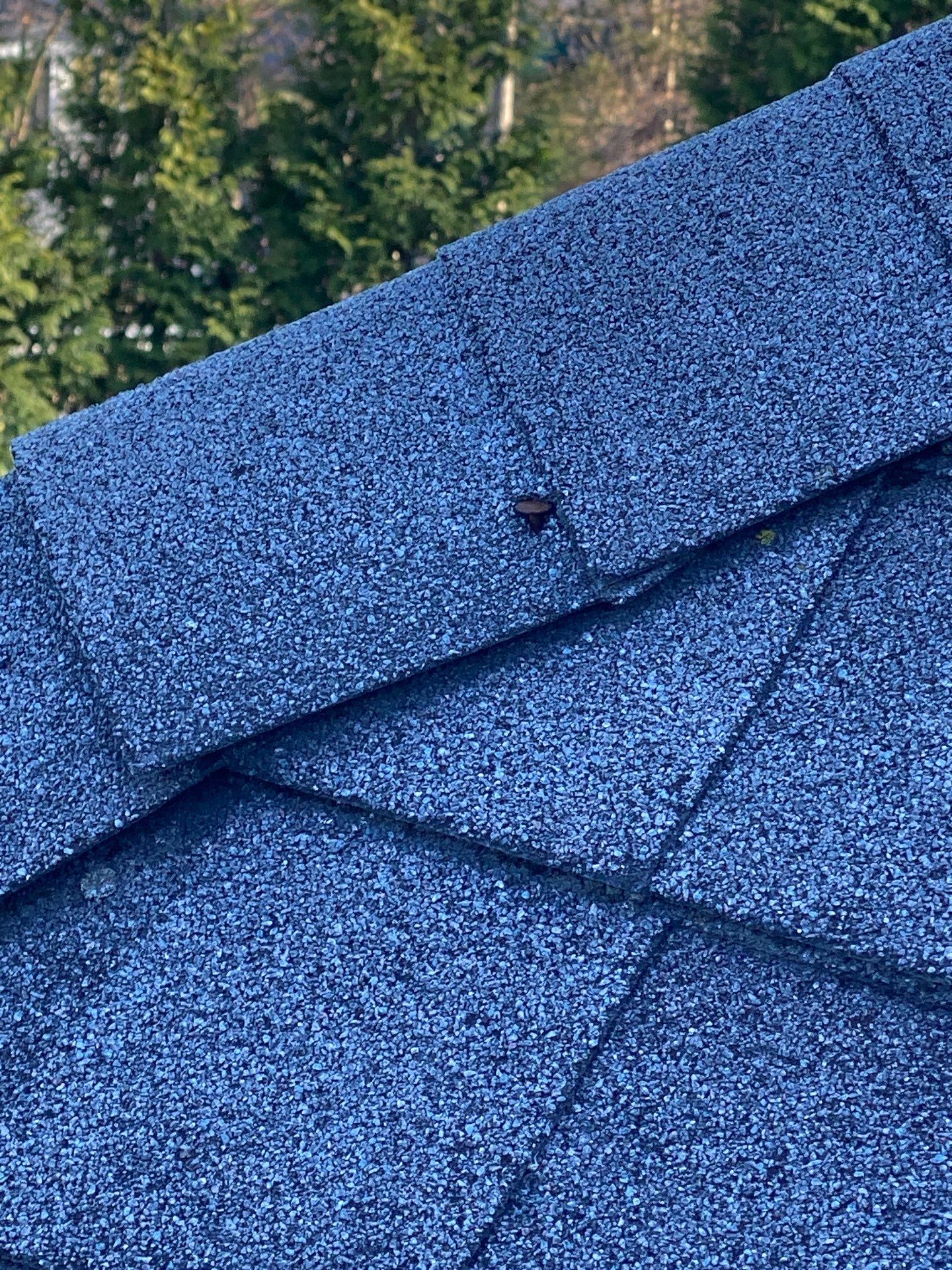 Roofing | Littleton by Mighty Dog Roofing of Greater Middlesex County