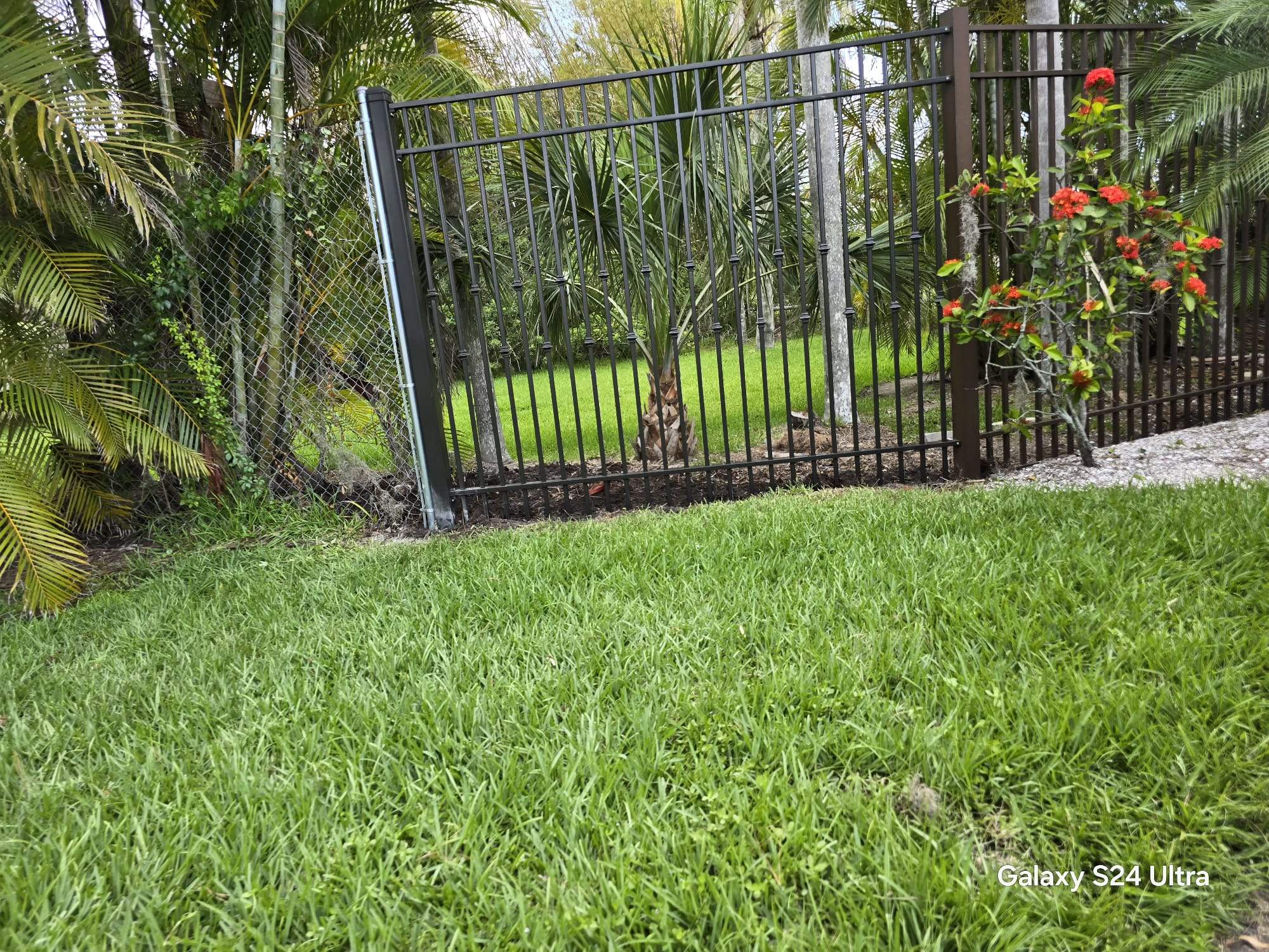 Decorative Aluminum Picket Fence Installation for Palmetto Property by True Fence LLC