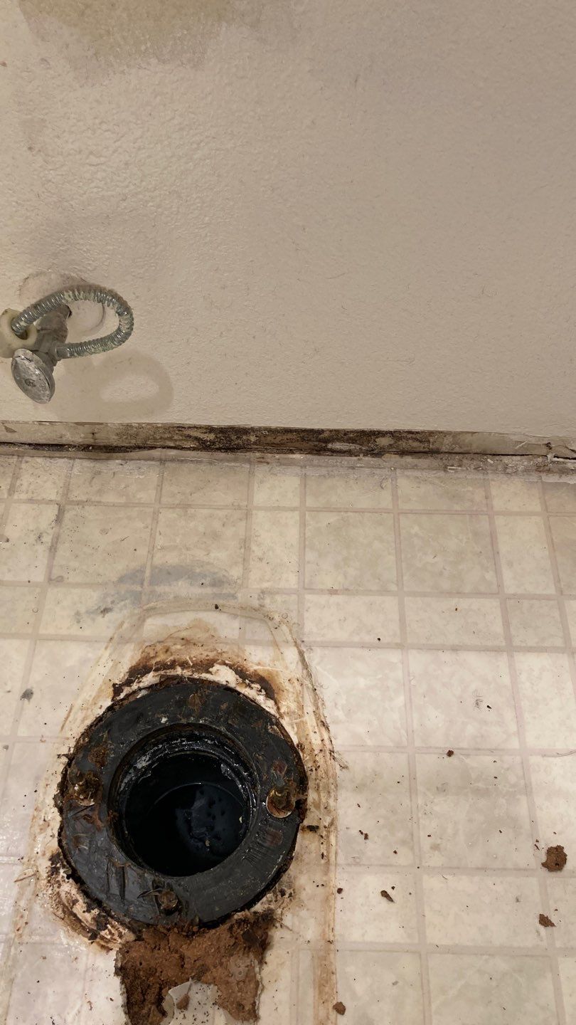 Various Plumbing & Flooring Tasks by Bayfront Home Repair