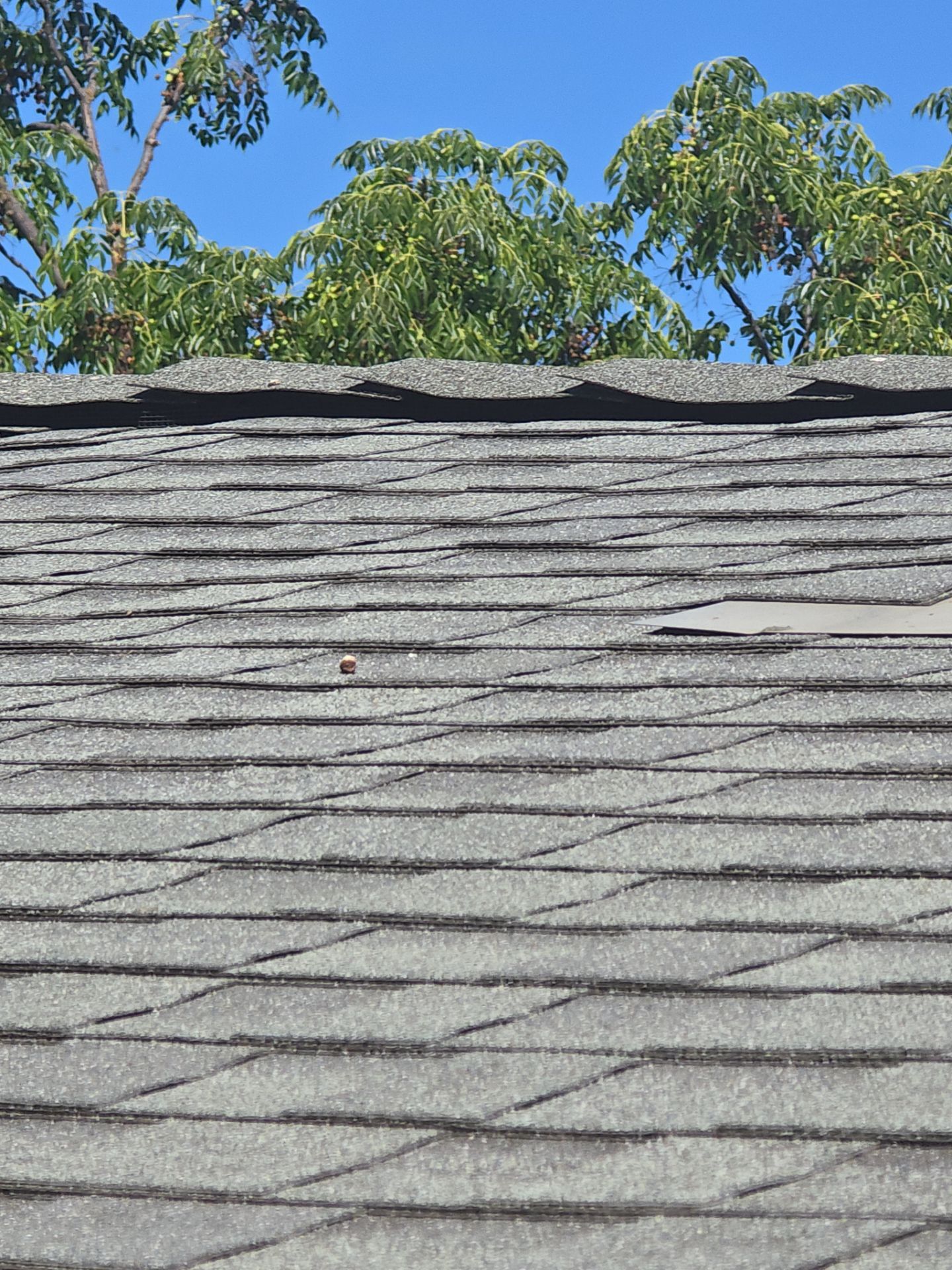 Roof Rejuvenation using Roof Maxx Treatment by Roof Maxx of Folsom