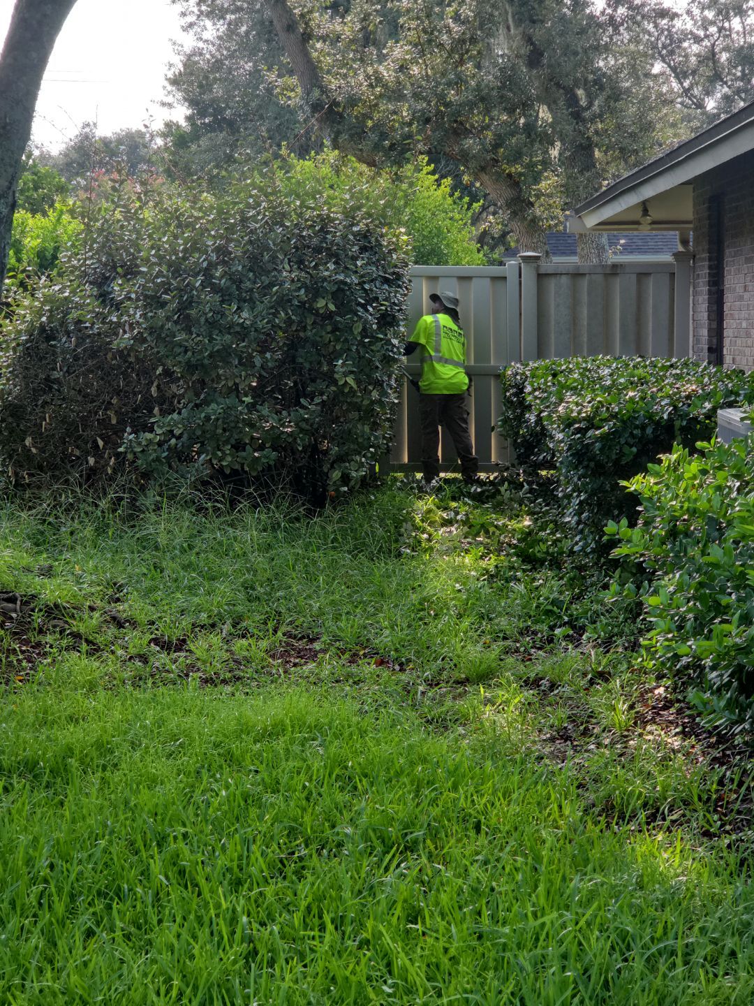 Deerwood Resident | Clean-Up & Mulch Install by ProGreen Services