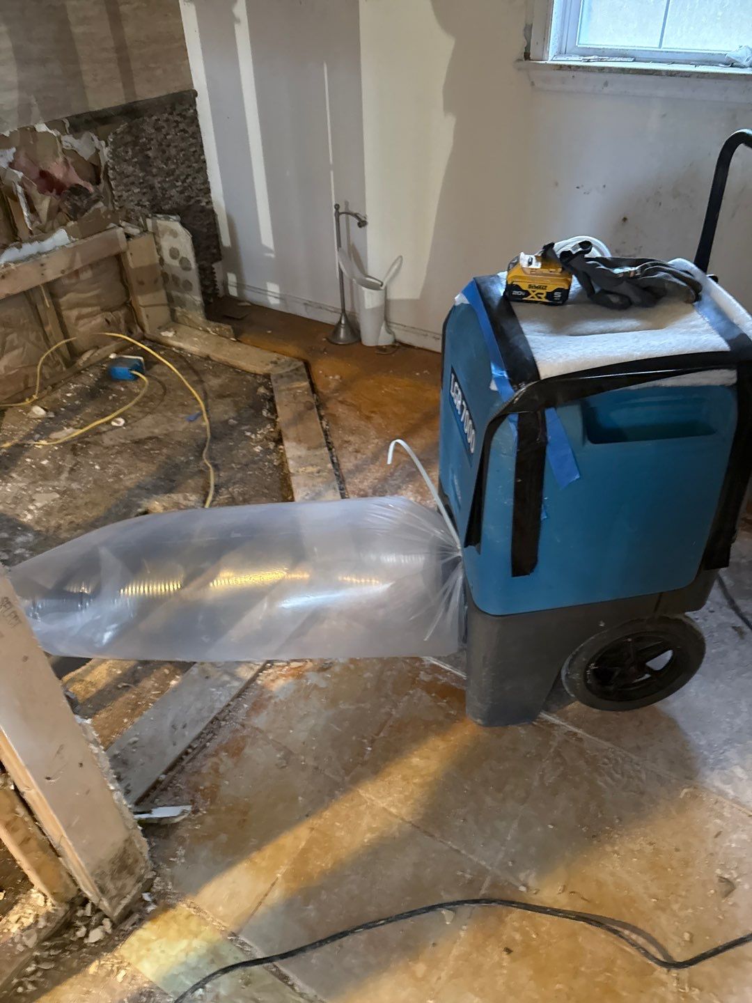 Water Damage& Mold Remediation Project-Dover, DE. by Healthy Home Solutions