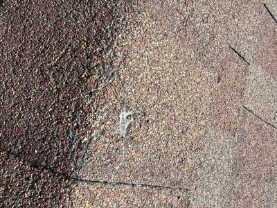 Project in Highlands Ranch