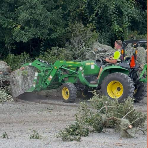 Tree Removal | Episcopal School of Jacksonville by ProGreen Services