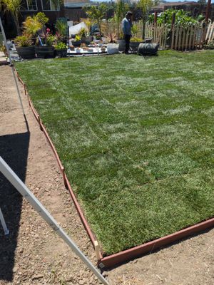 Project in Cotati